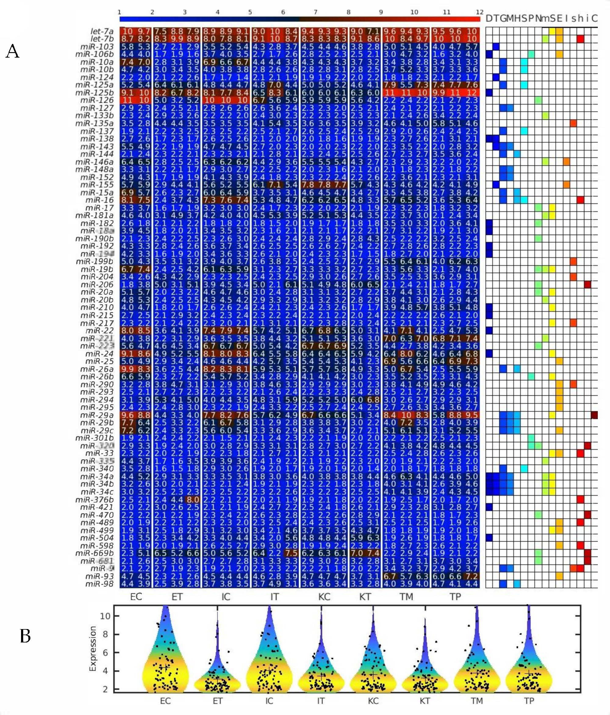 Ijms 22 04819 g006 Ijms 22 04819 g006