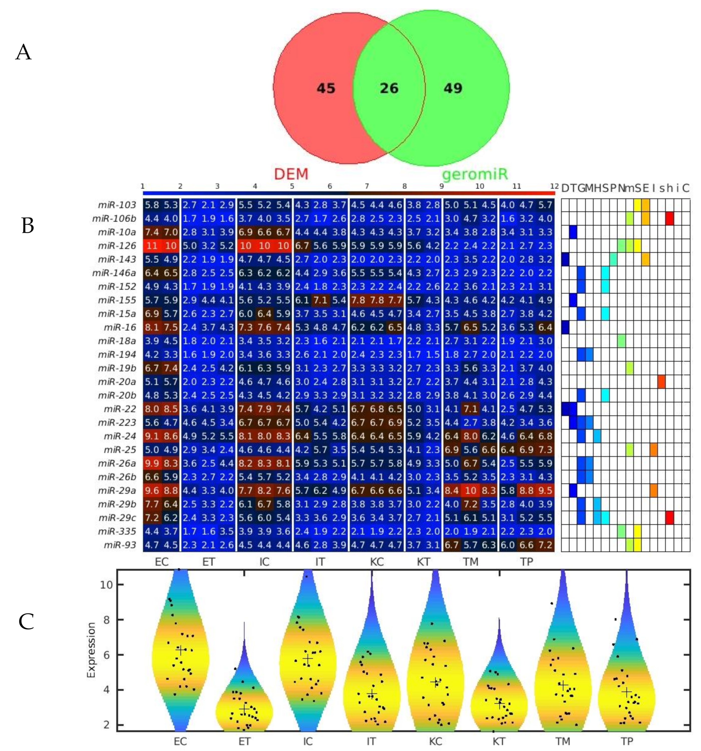 Ijms 22 04819 g007 Ijms 22 04819 g007