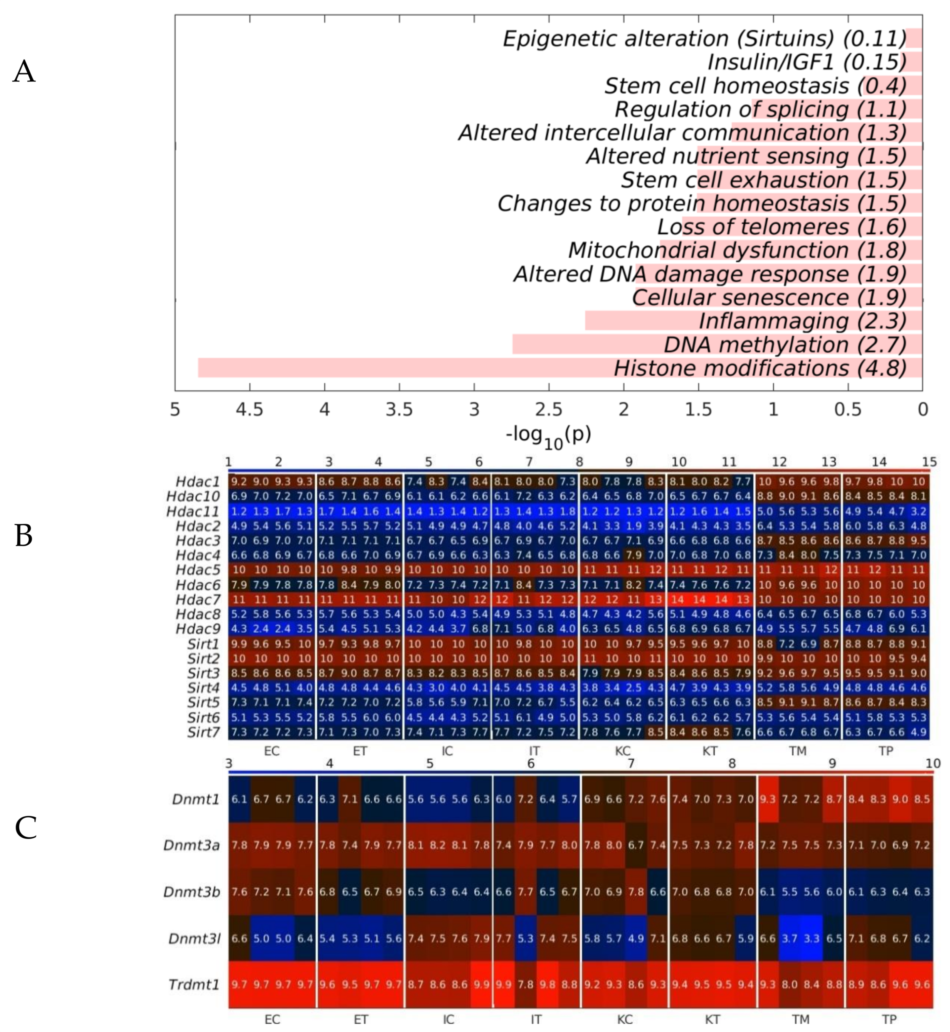 Ijms 22 04819 g008 Ijms 22 04819 g008