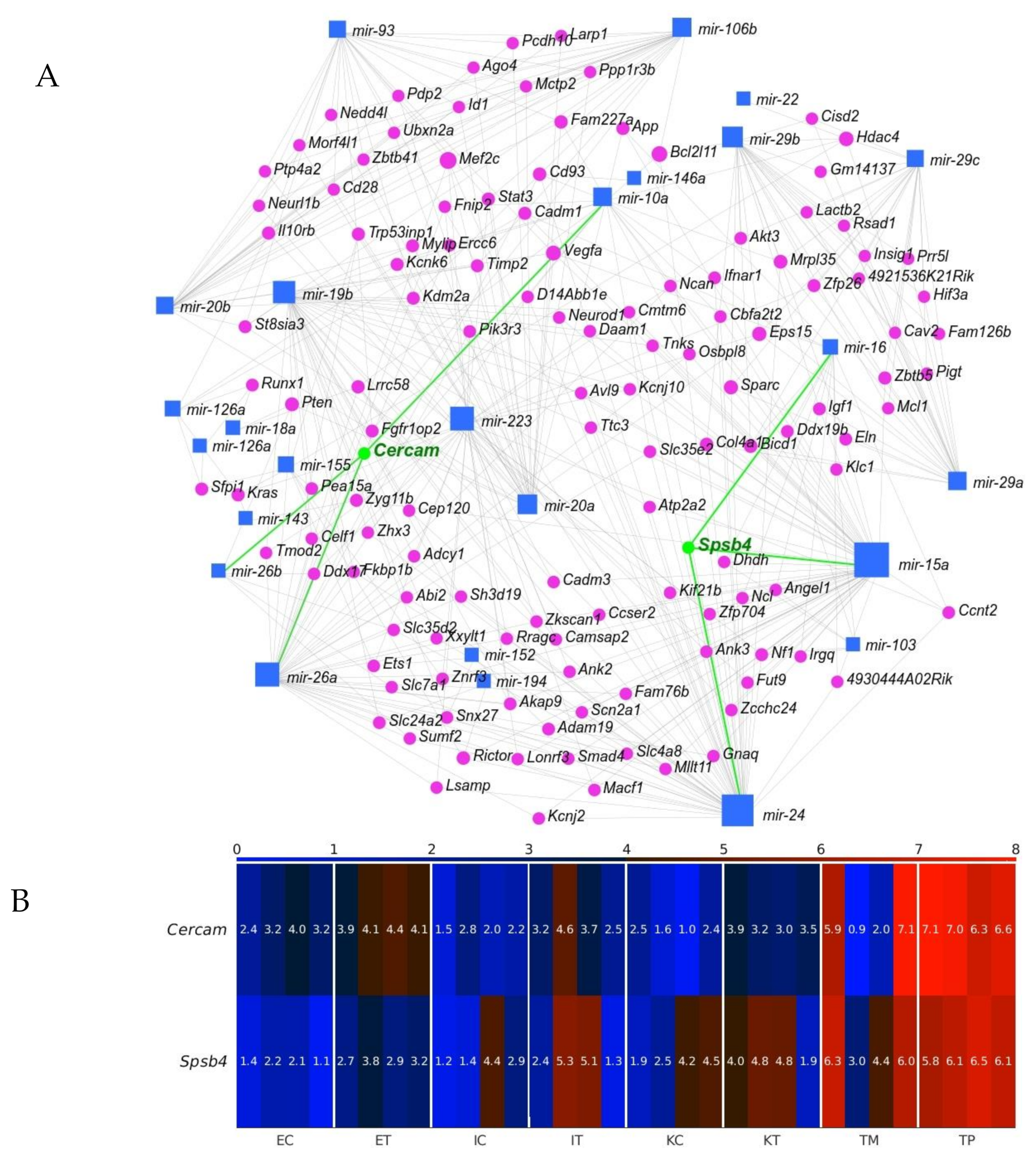 Ijms 22 04819 g009 Ijms 22 04819 g009