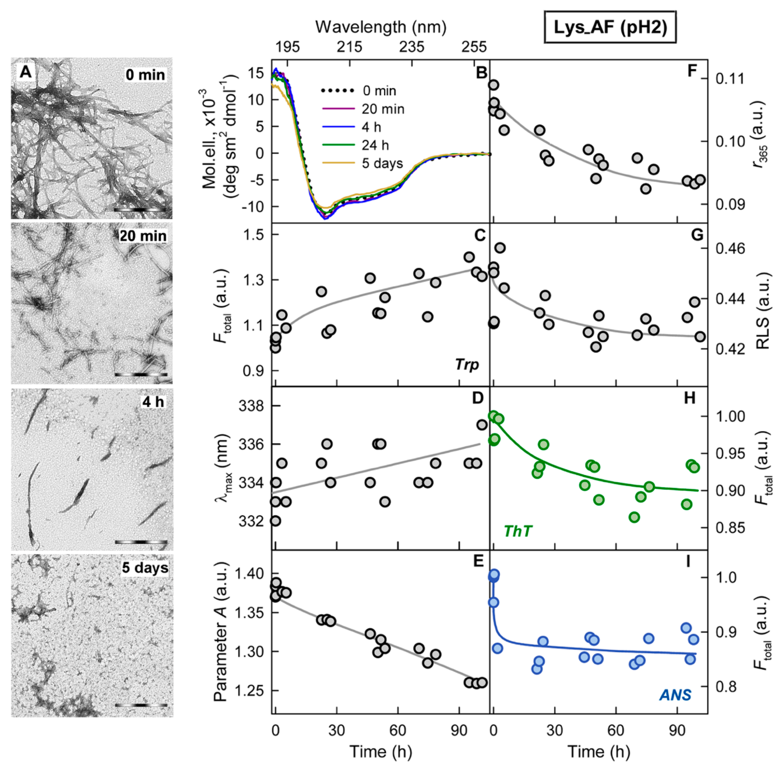 Ijms 22 04828 g003 Ijms 22 04828 g003