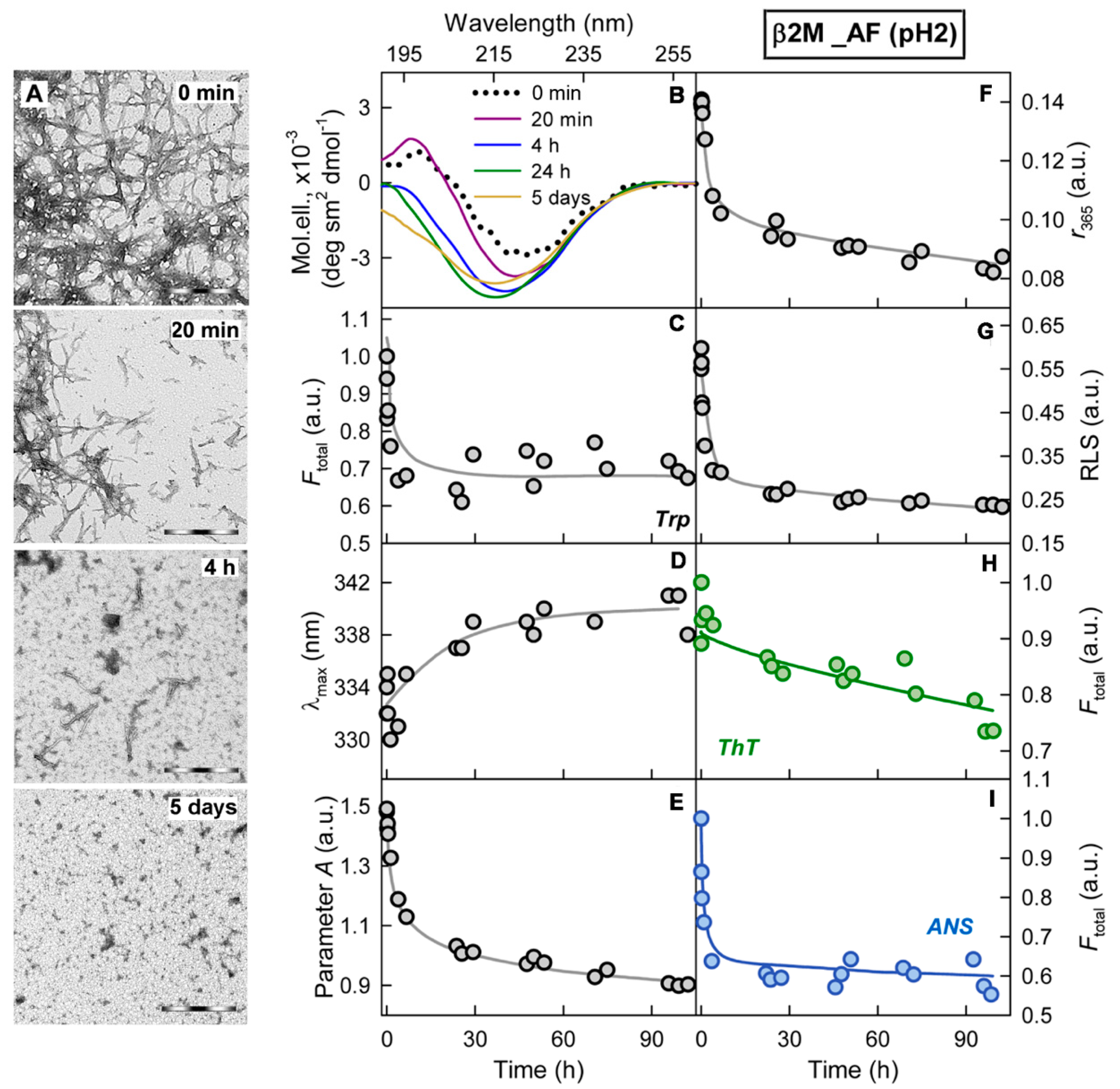 Ijms 22 04828 g005 Ijms 22 04828 g005