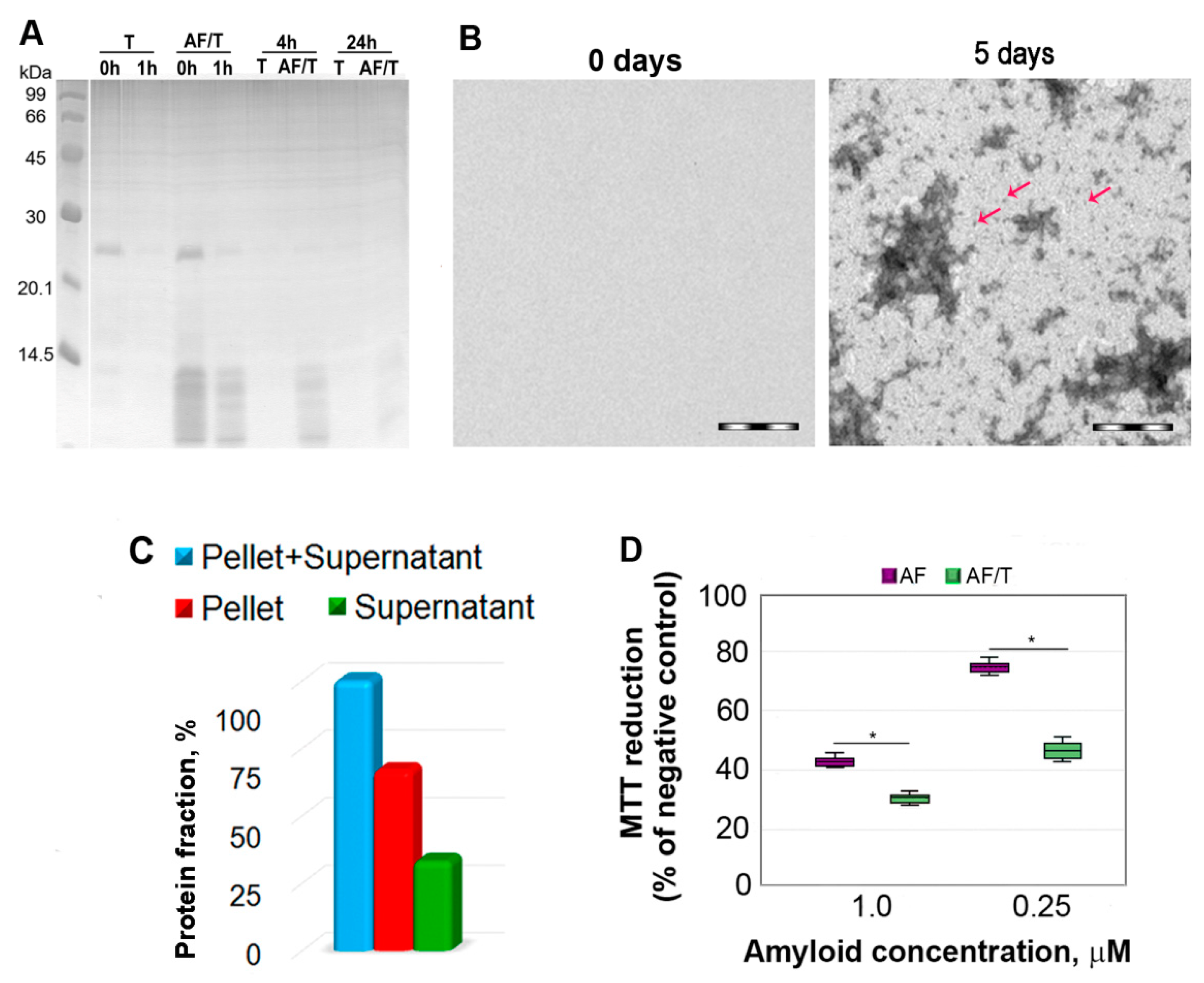 Ijms 22 04828 g006 Ijms 22 04828 g006
