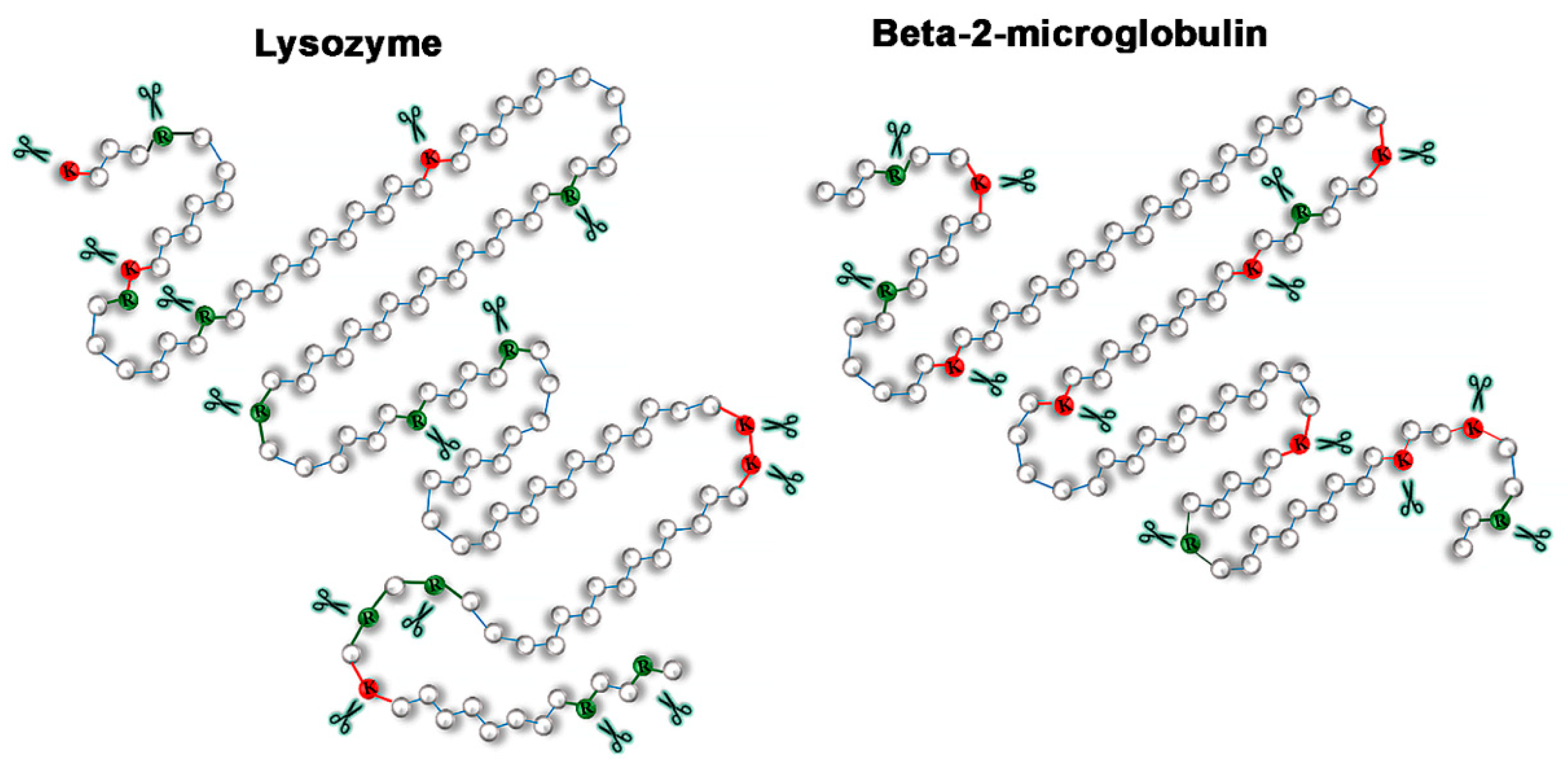 Ijms 22 04828 sch001 Ijms 22 04828 sch001