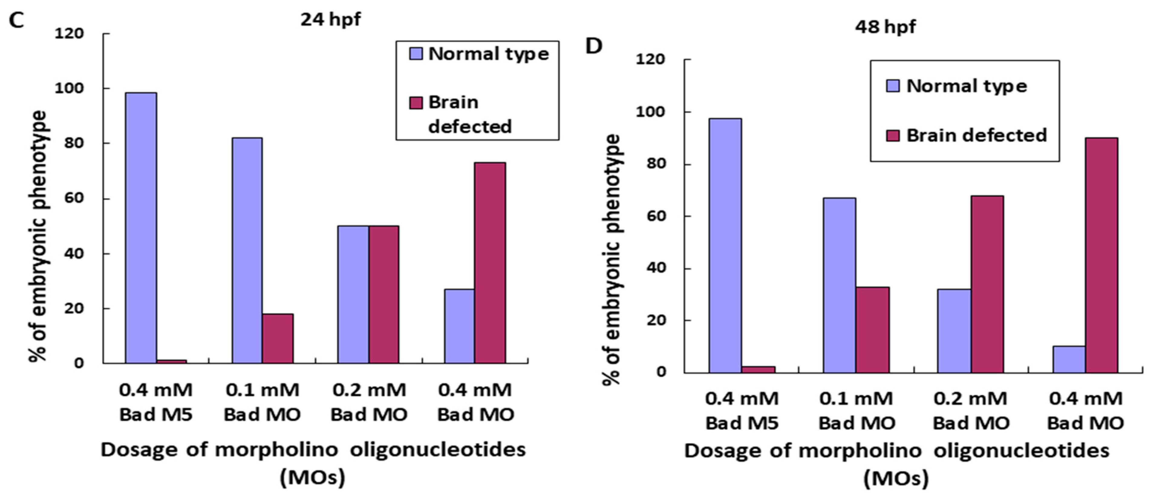Ijms 22 04832 g005b Ijms 22 04832 g005b