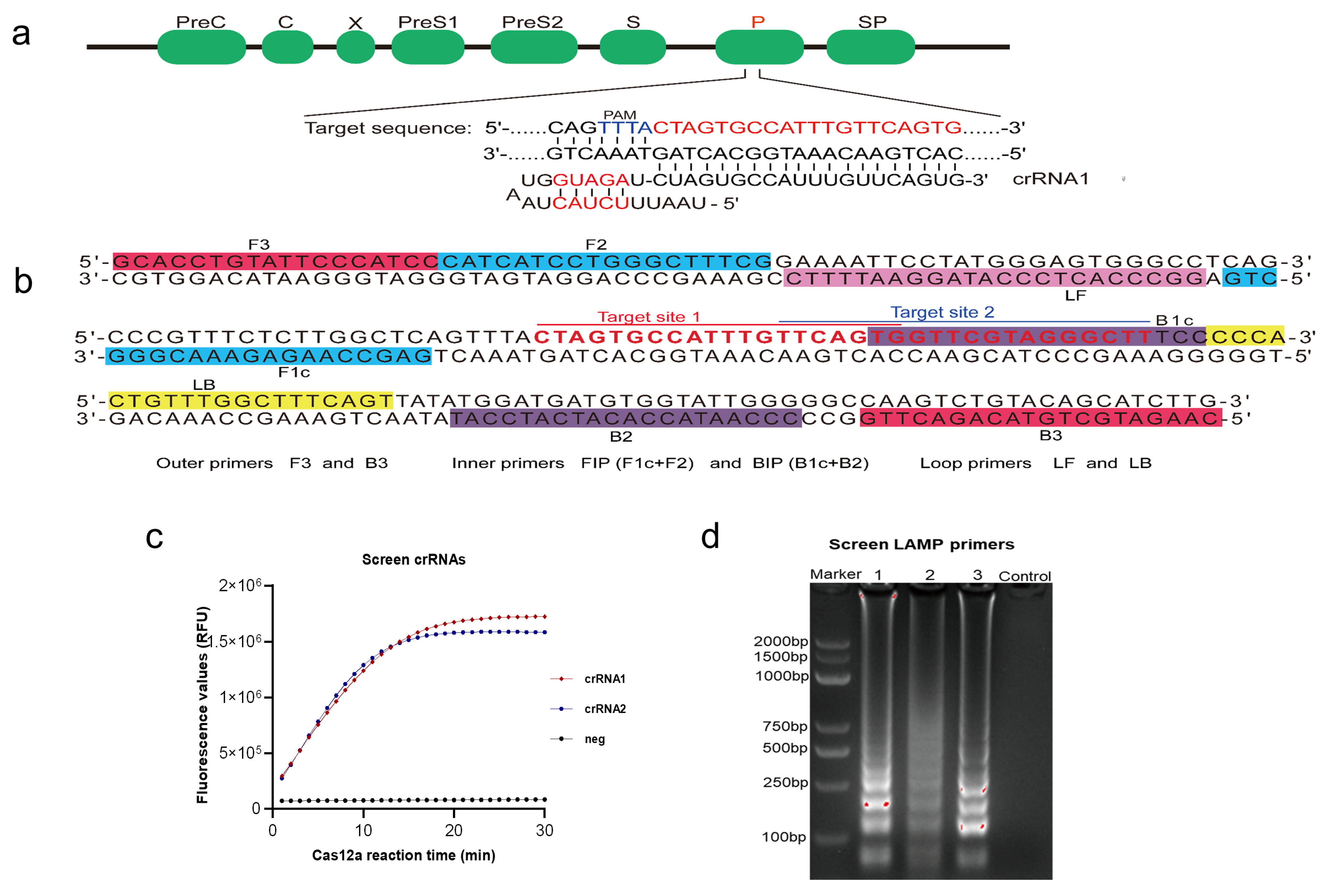 Ijms 22 04842 g002 Ijms 22 04842 g002