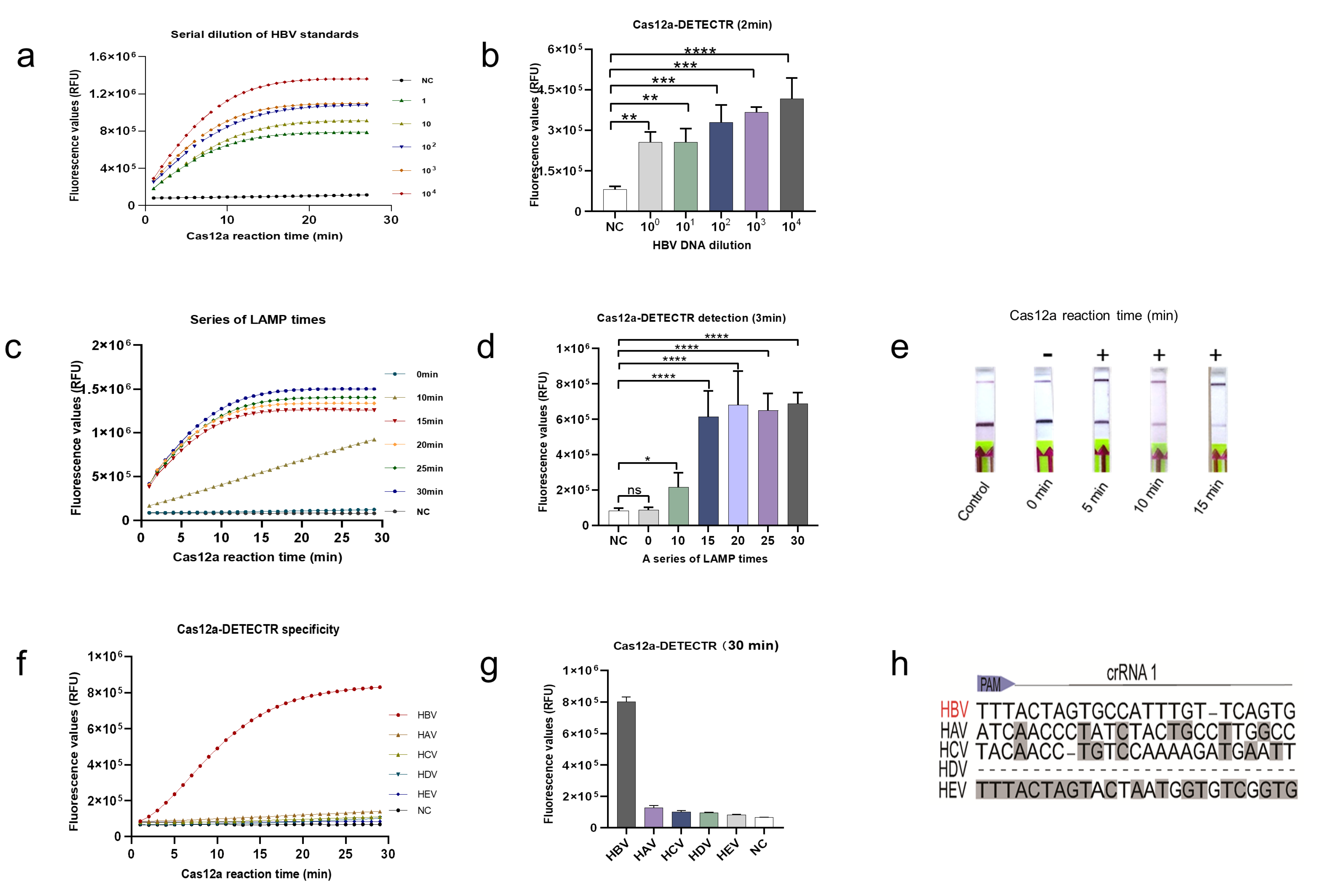 Ijms 22 04842 g003 Ijms 22 04842 g003