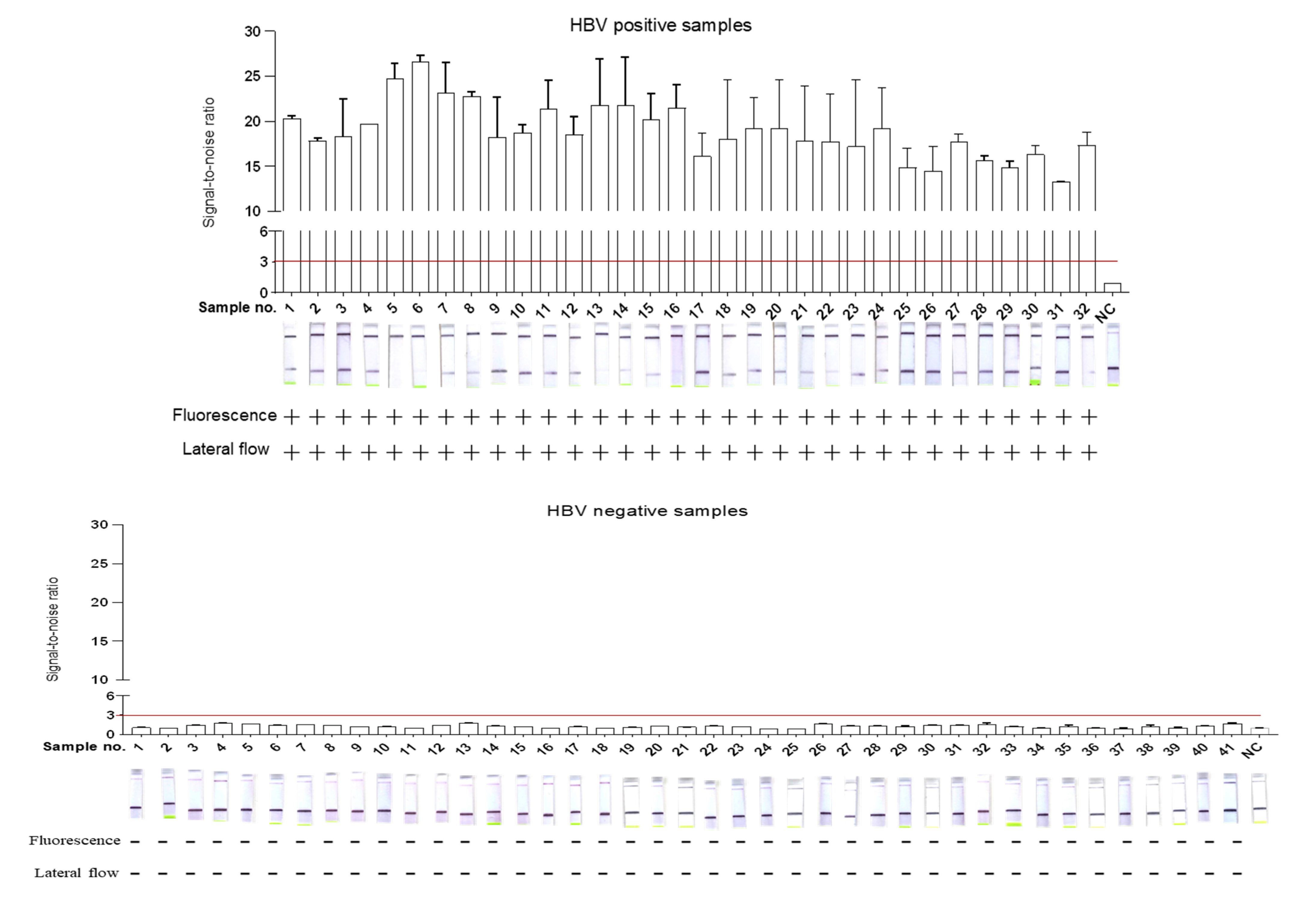 Ijms 22 04842 g004 Ijms 22 04842 g004