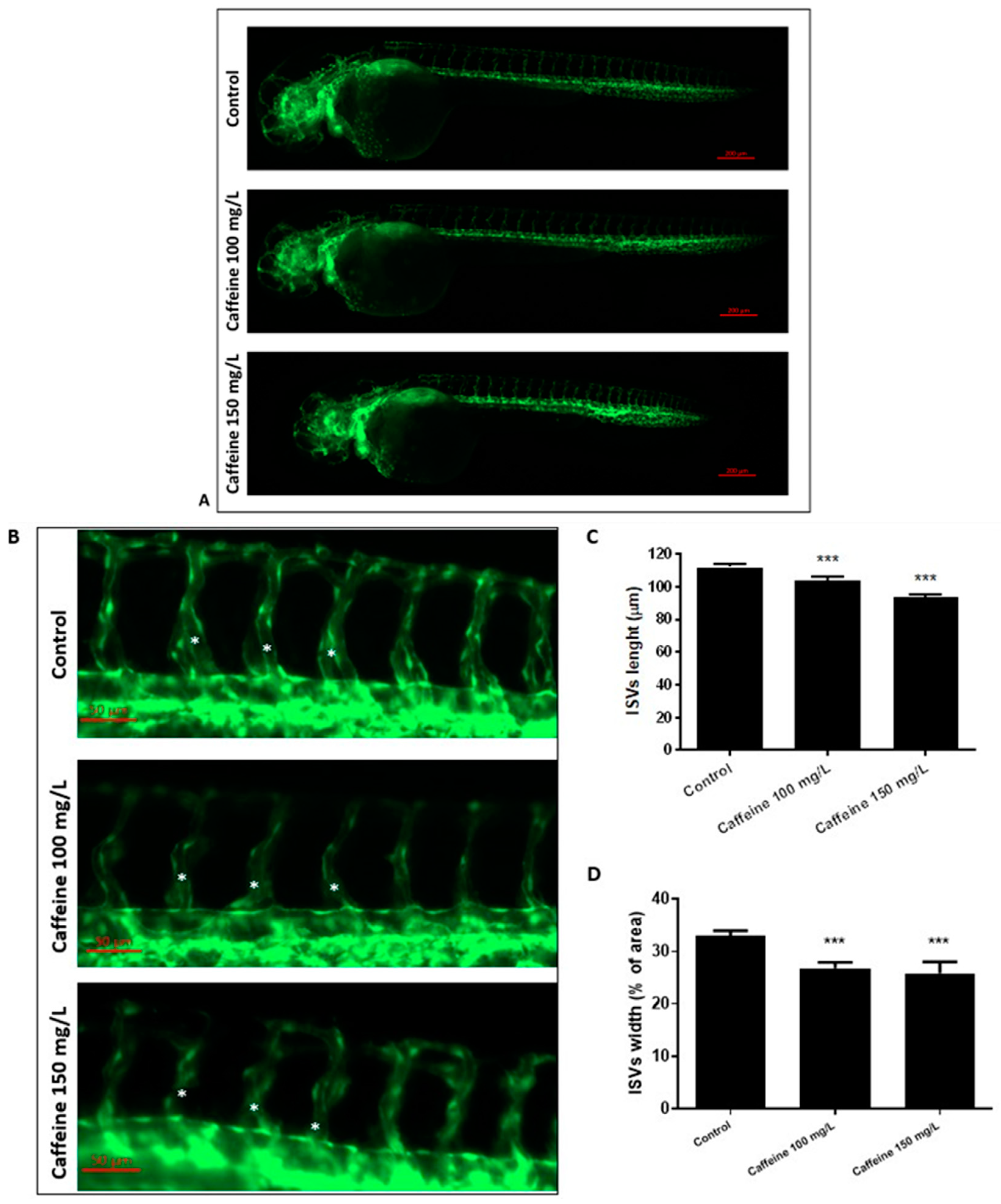 Ijms 22 04856 g001 Ijms 22 04856 g001