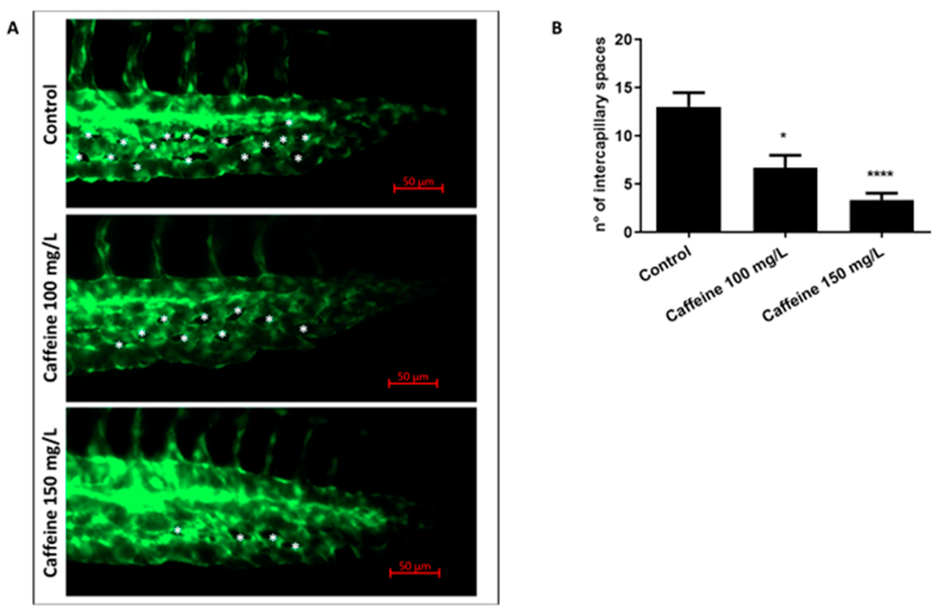 Ijms 22 04856 g002 Ijms 22 04856 g002