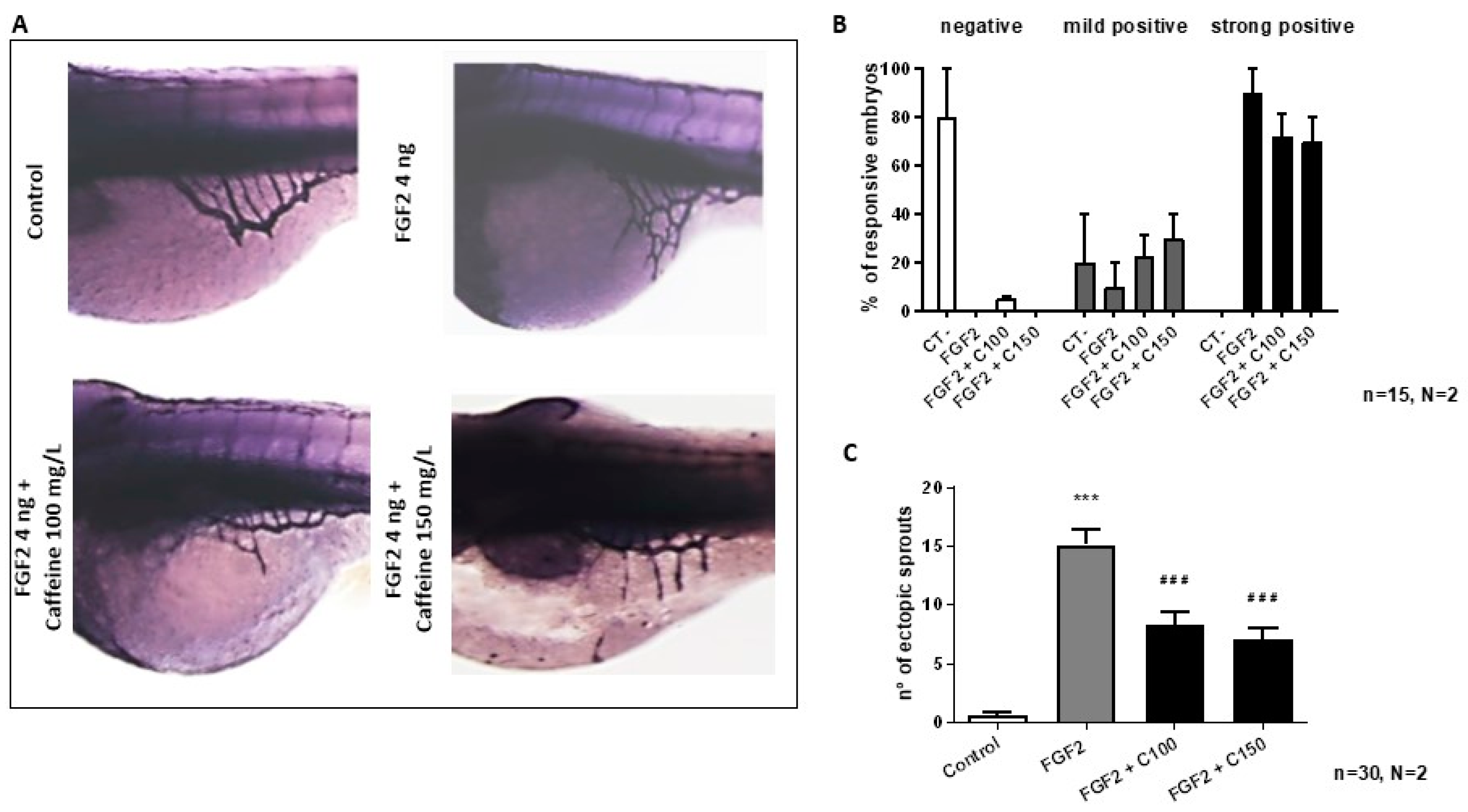 Ijms 22 04856 g005 Ijms 22 04856 g005