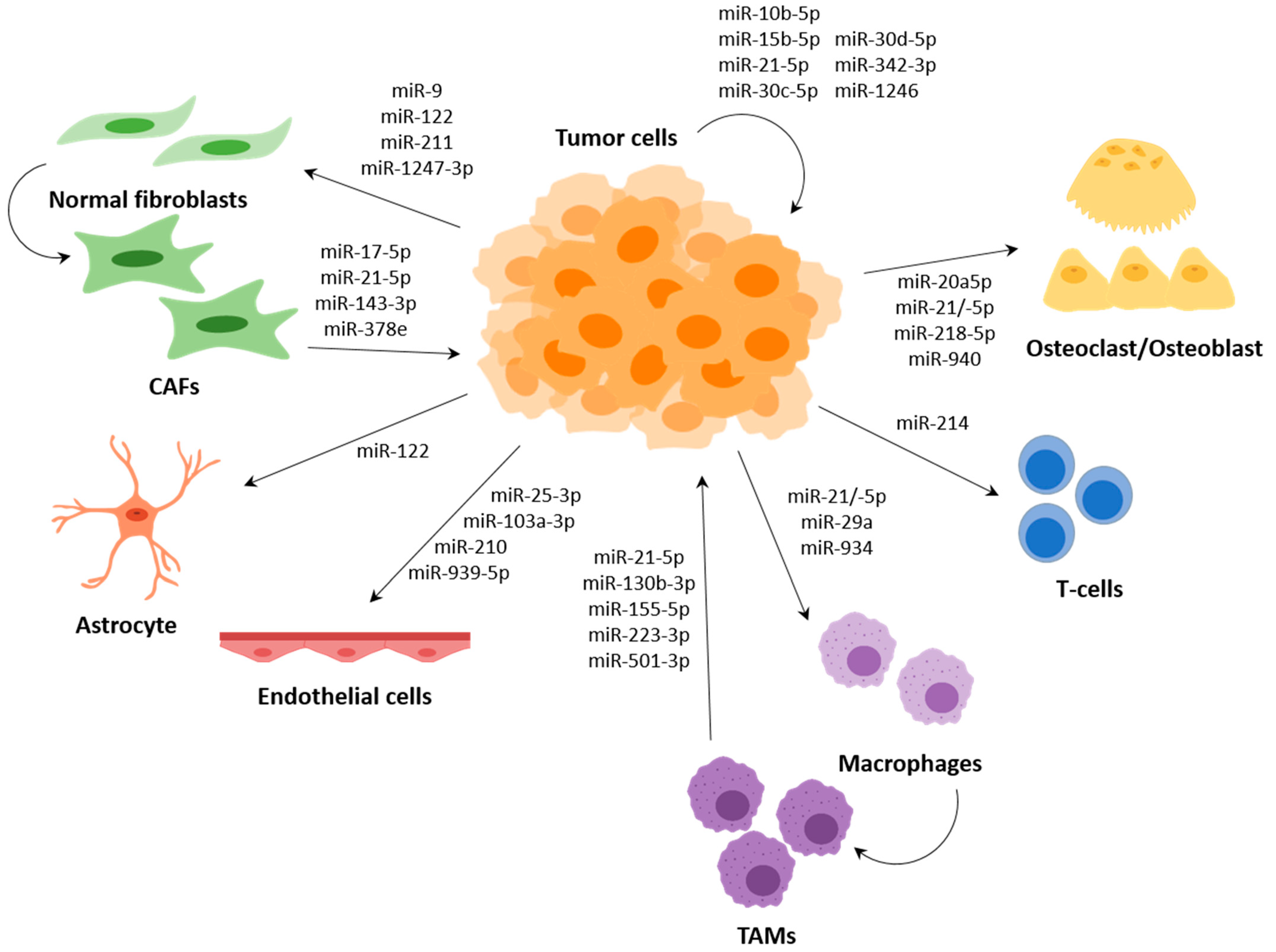 IJMS | Free Full-Text | MicroRNAs in Metastasis and the Tumour 