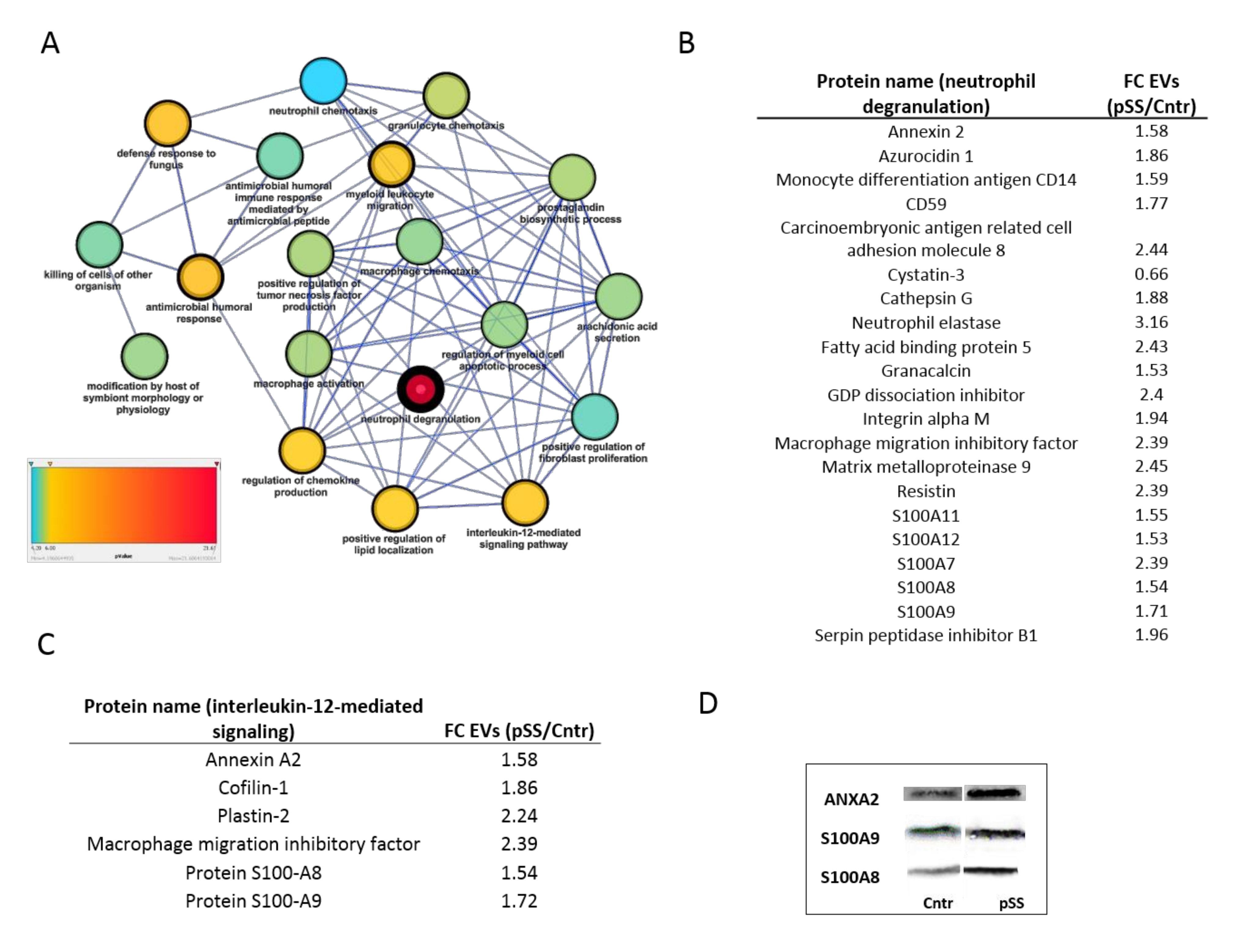 Ijms 22 04864 g004 Ijms 22 04864 g004