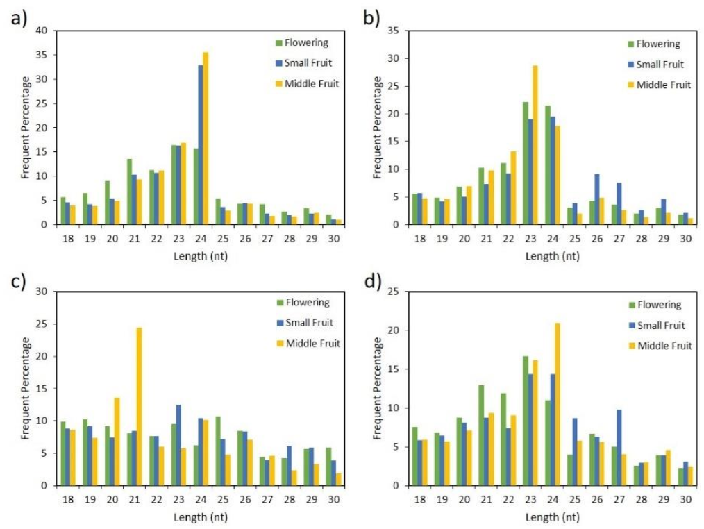 Ijms 22 04866 g002 Ijms 22 04866 g002