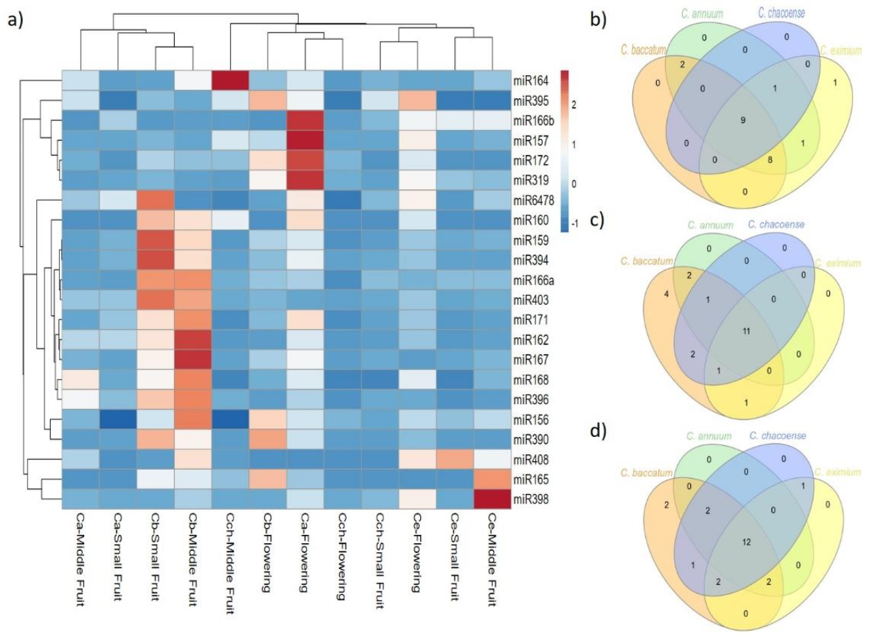 Ijms 22 04866 g004 Ijms 22 04866 g004