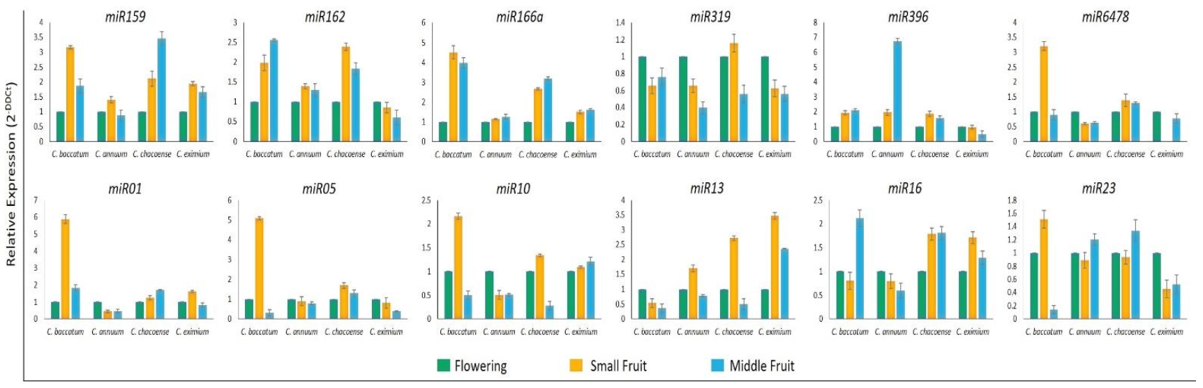 Ijms 22 04866 g007 Ijms 22 04866 g007