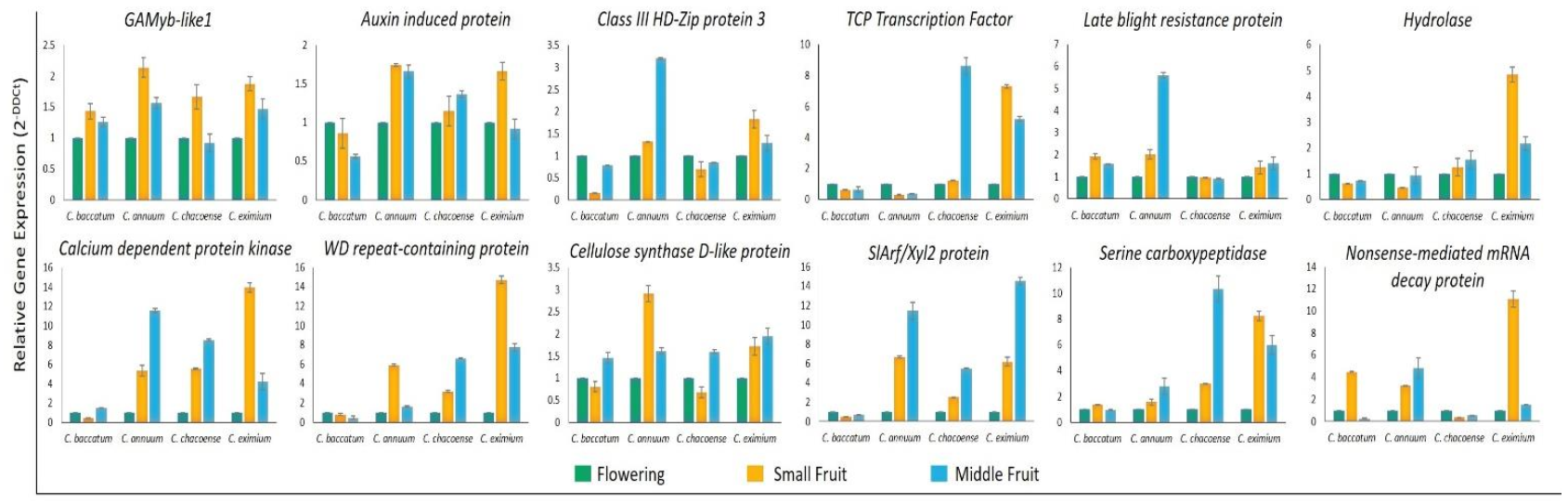 Ijms 22 04866 g008 Ijms 22 04866 g008