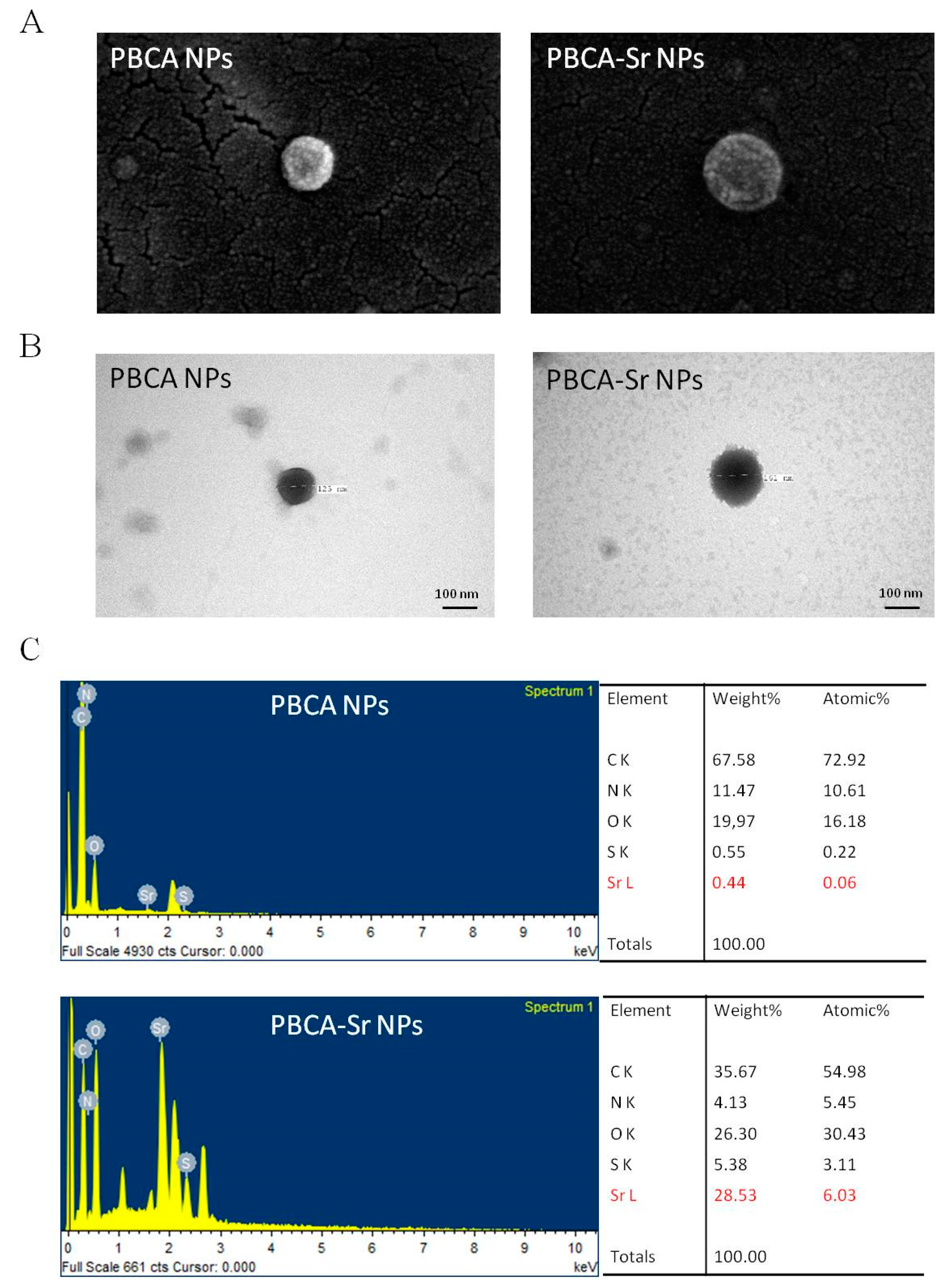 Ijms 22 04873 g001 Ijms 22 04873 g001