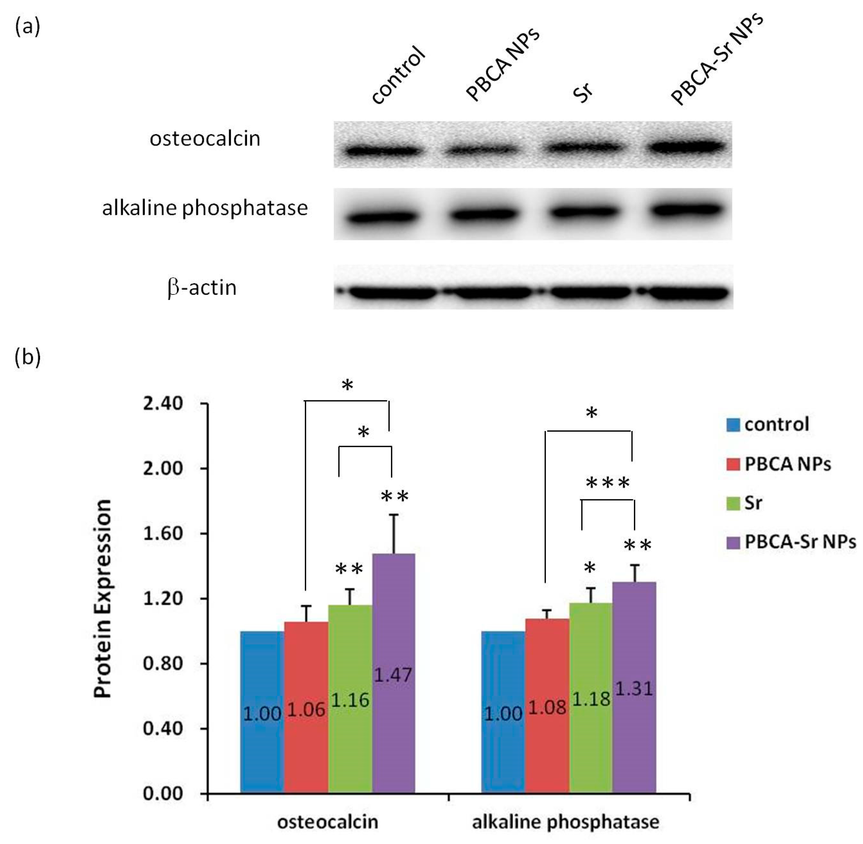 Ijms 22 04873 g004 Ijms 22 04873 g004