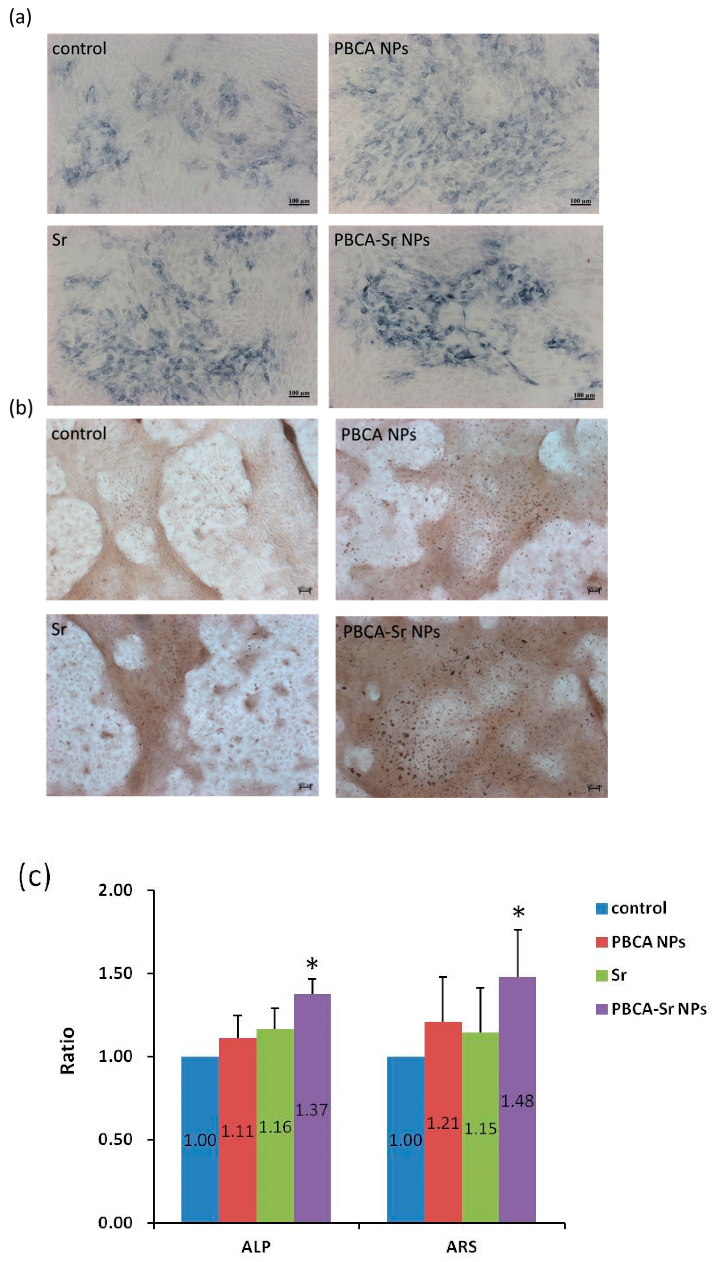 Ijms 22 04873 g005 Ijms 22 04873 g005