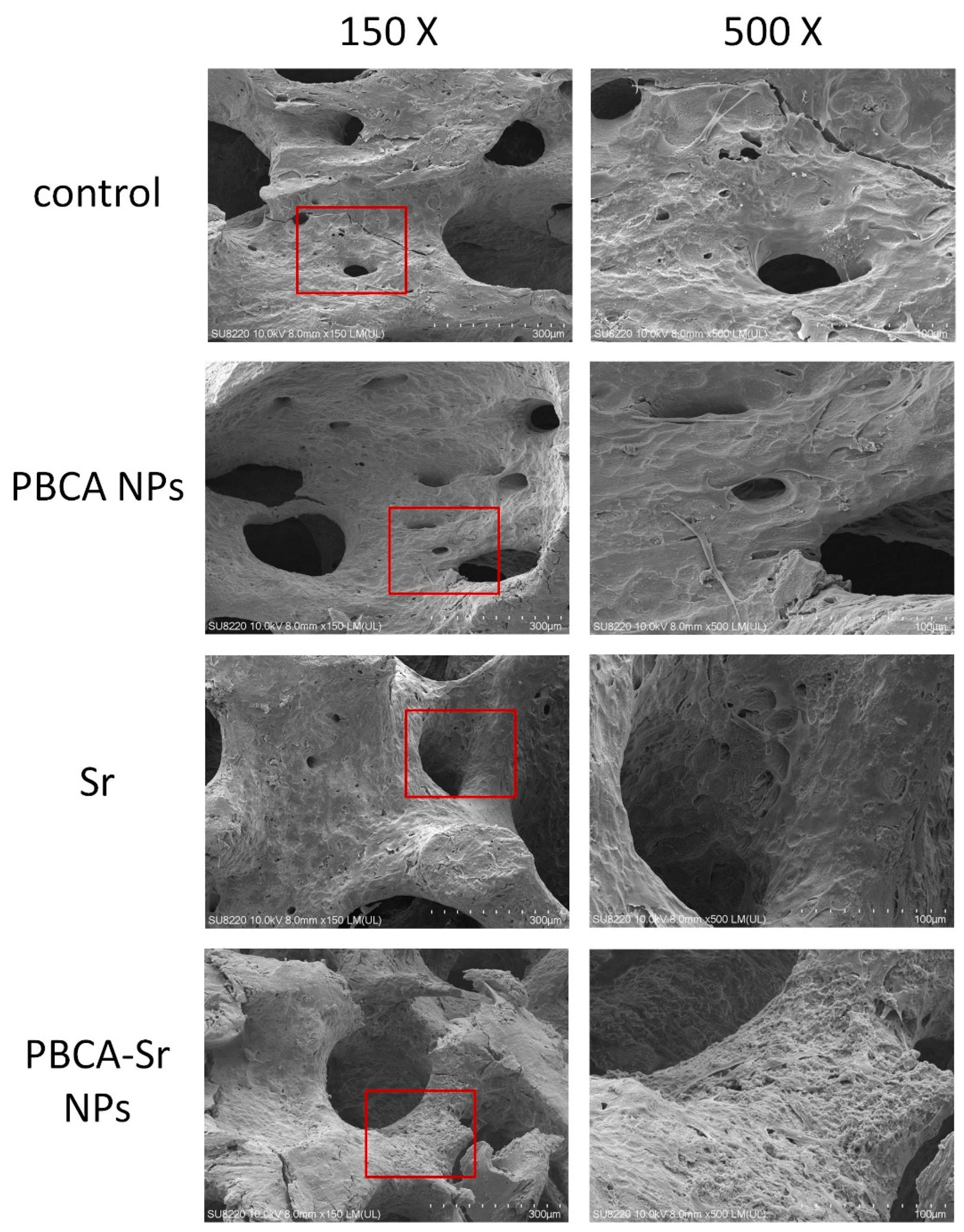 Ijms 22 04873 g007 Ijms 22 04873 g007
