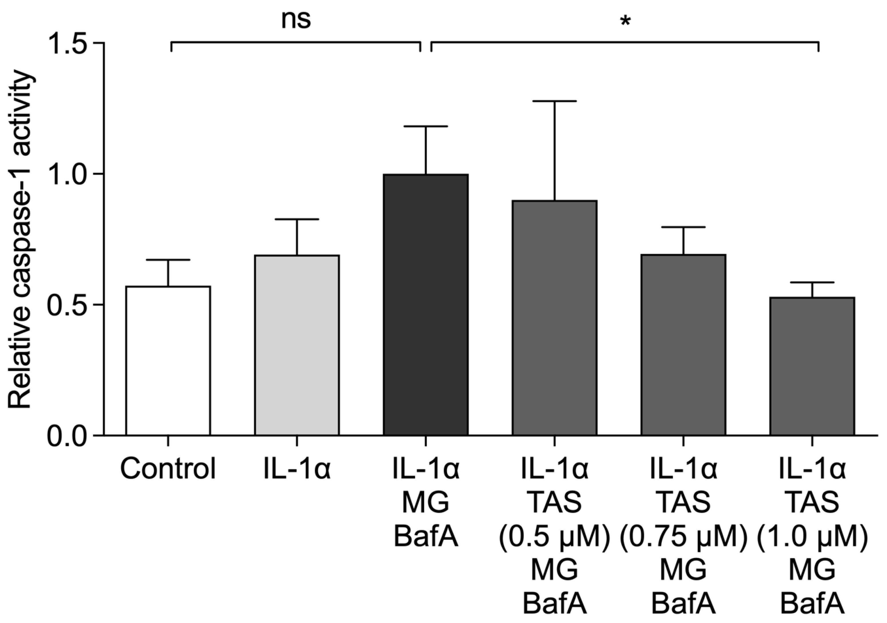 Ijms 22 04875 g004 Ijms 22 04875 g004