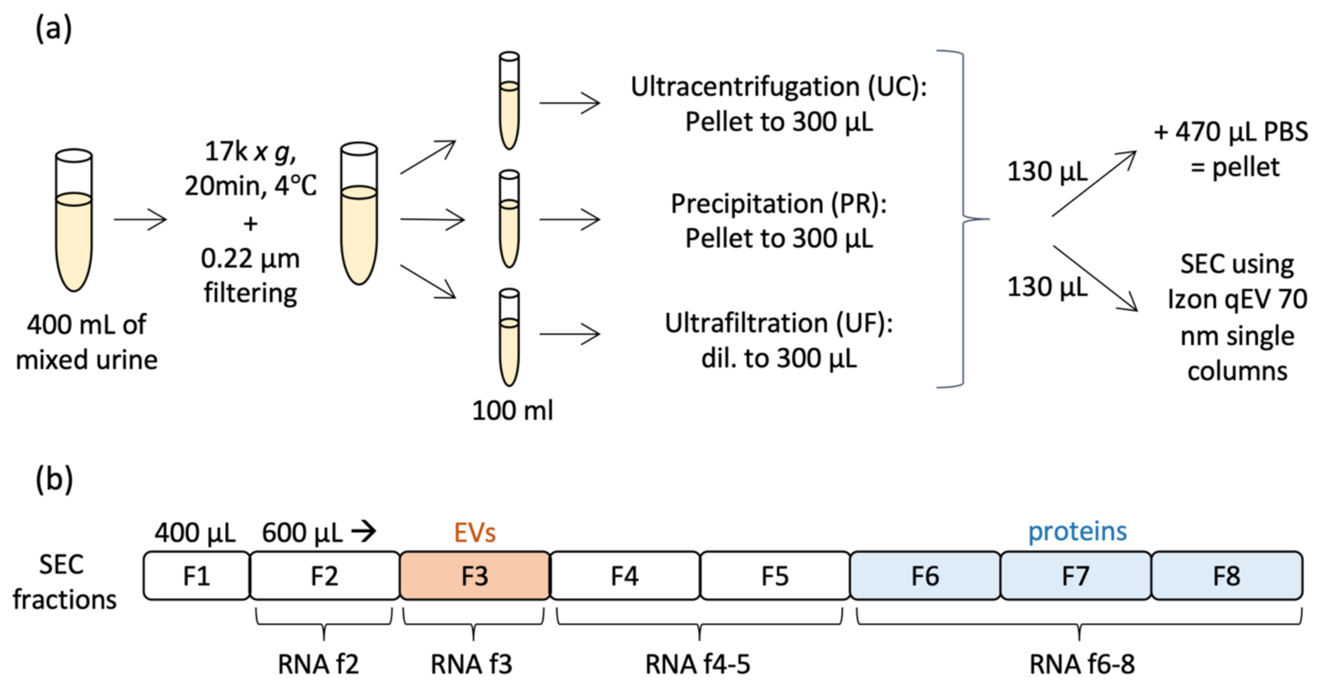 Ijms 22 04881 g001 Ijms 22 04881 g001