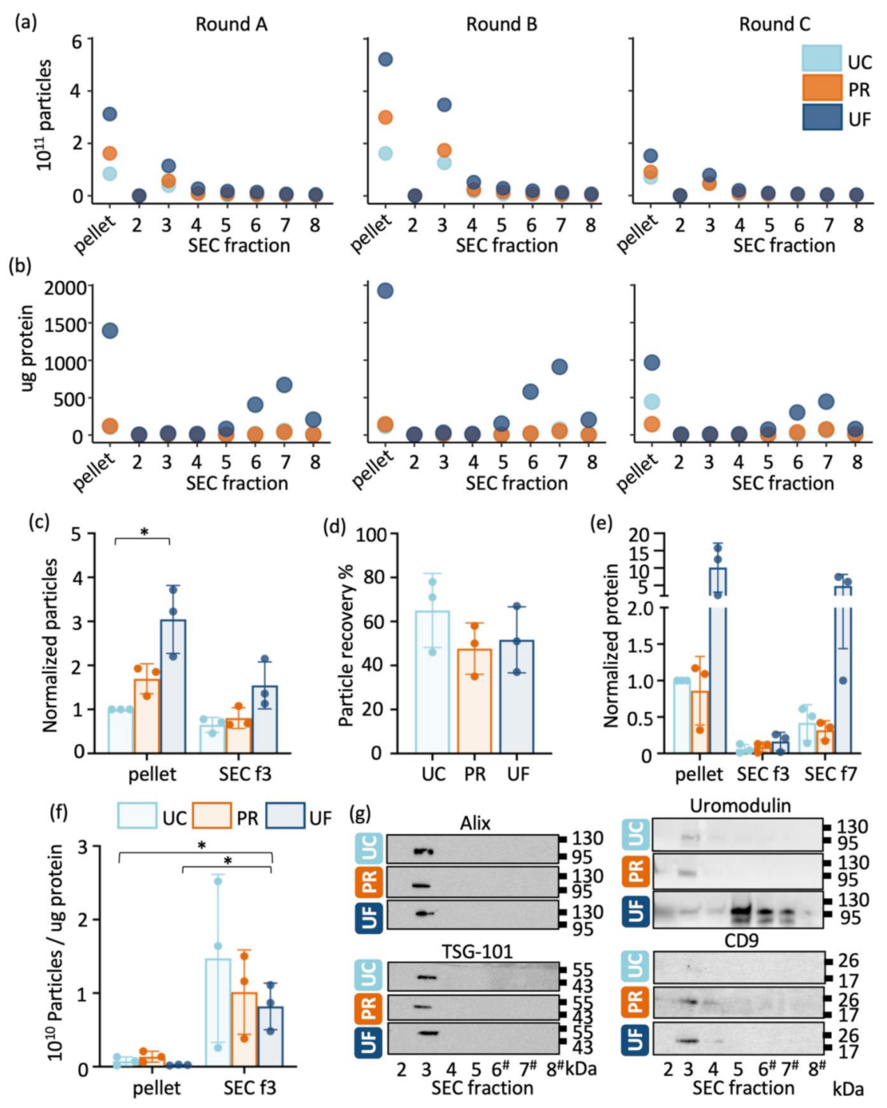 Ijms 22 04881 g002 Ijms 22 04881 g002