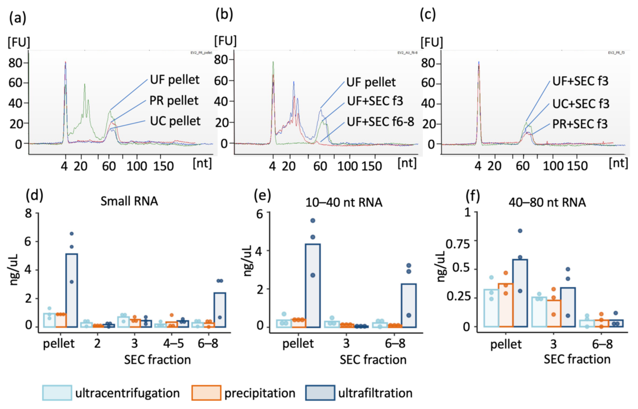 Ijms 22 04881 g004 Ijms 22 04881 g004