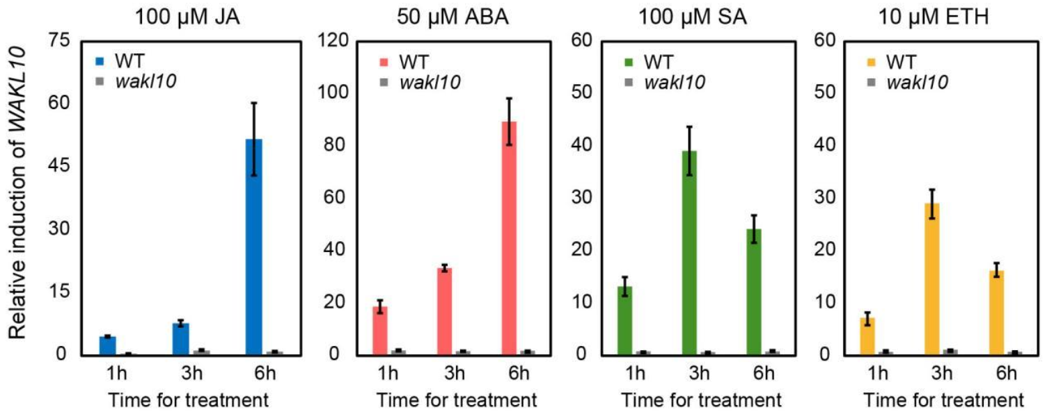 Ijms 22 04885 g008 Ijms 22 04885 g008