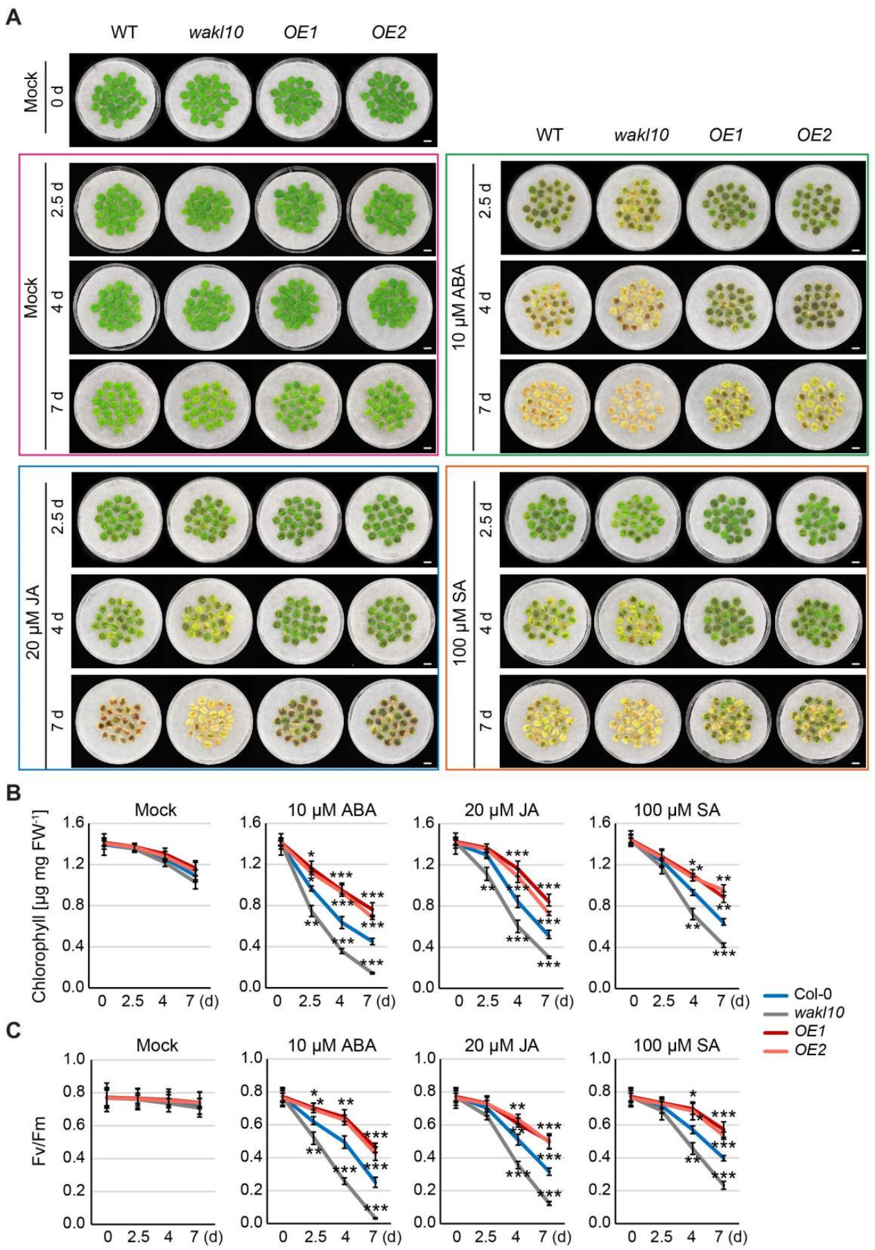 Ijms 22 04885 g009 Ijms 22 04885 g009