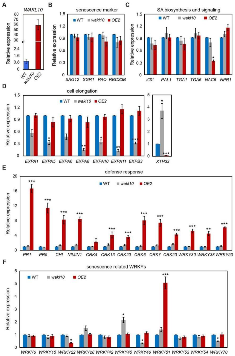 Ijms 22 04885 g011 Ijms 22 04885 g011