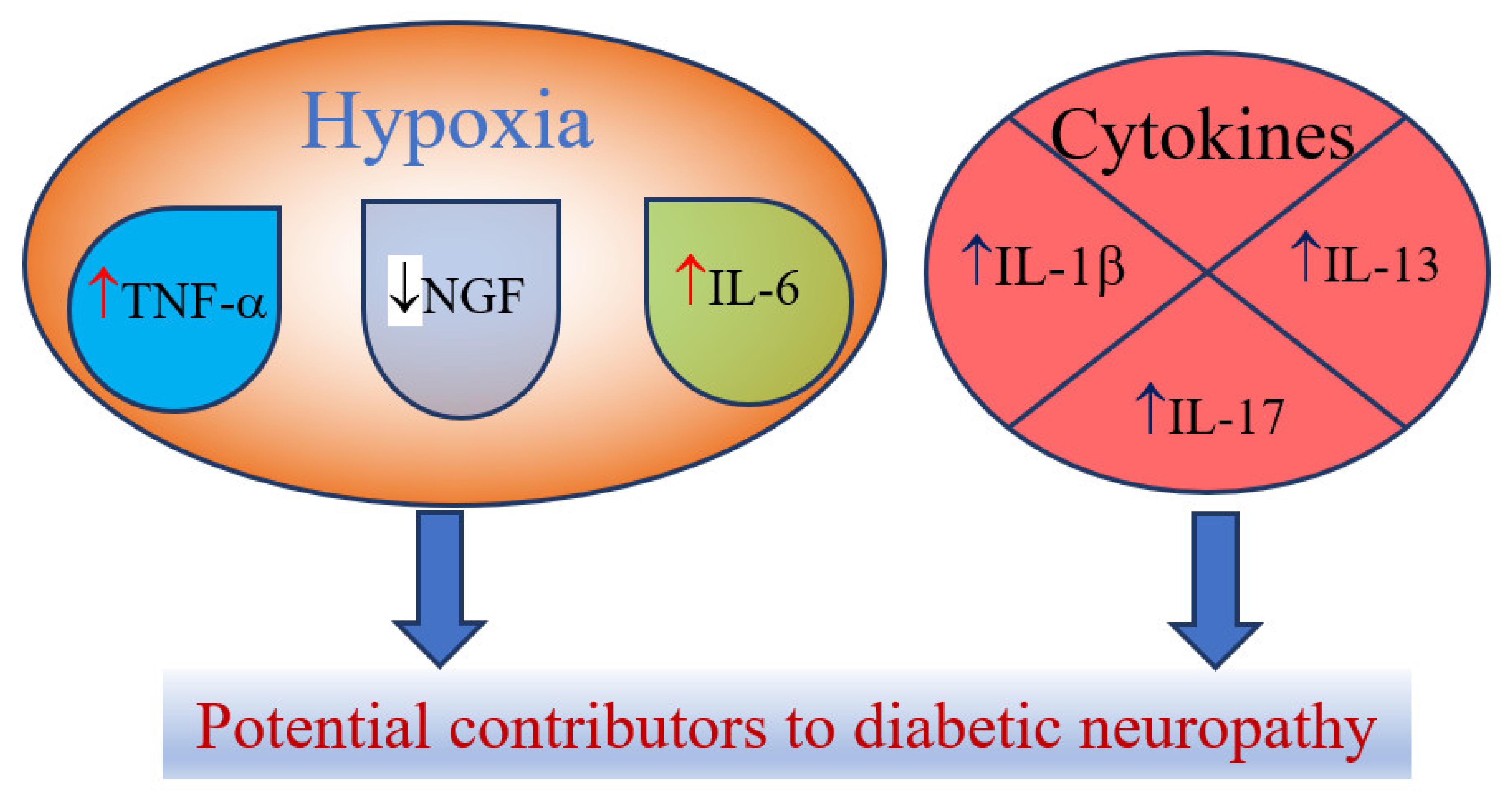 Ijms 22 04887 g002 Ijms 22 04887 g002