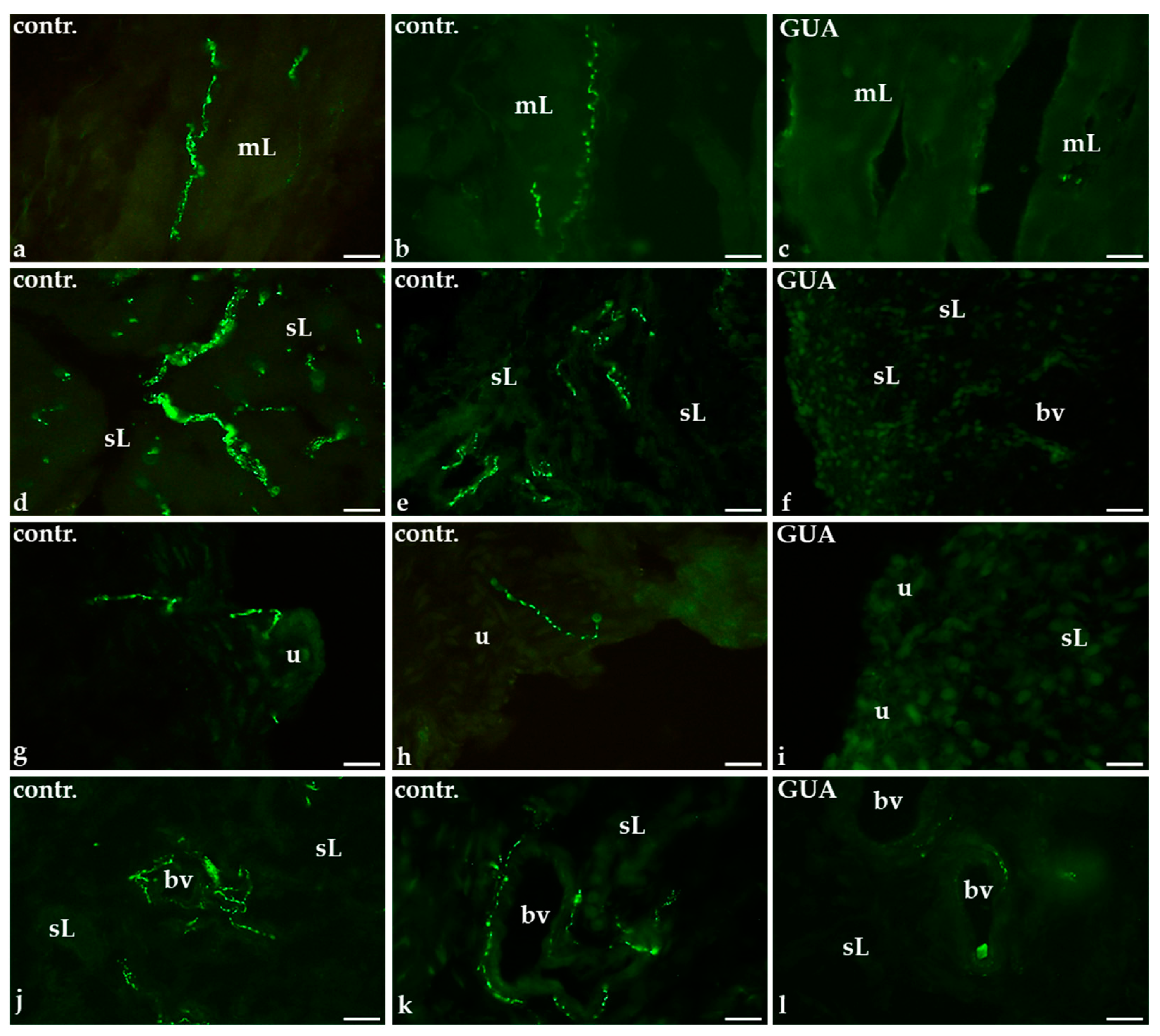 Ijms 22 04896 g001 Ijms 22 04896 g001