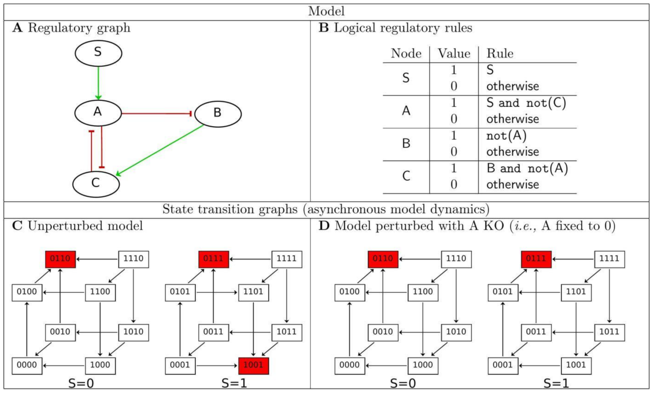 Ijms 22 04897 g001 Ijms 22 04897 g001