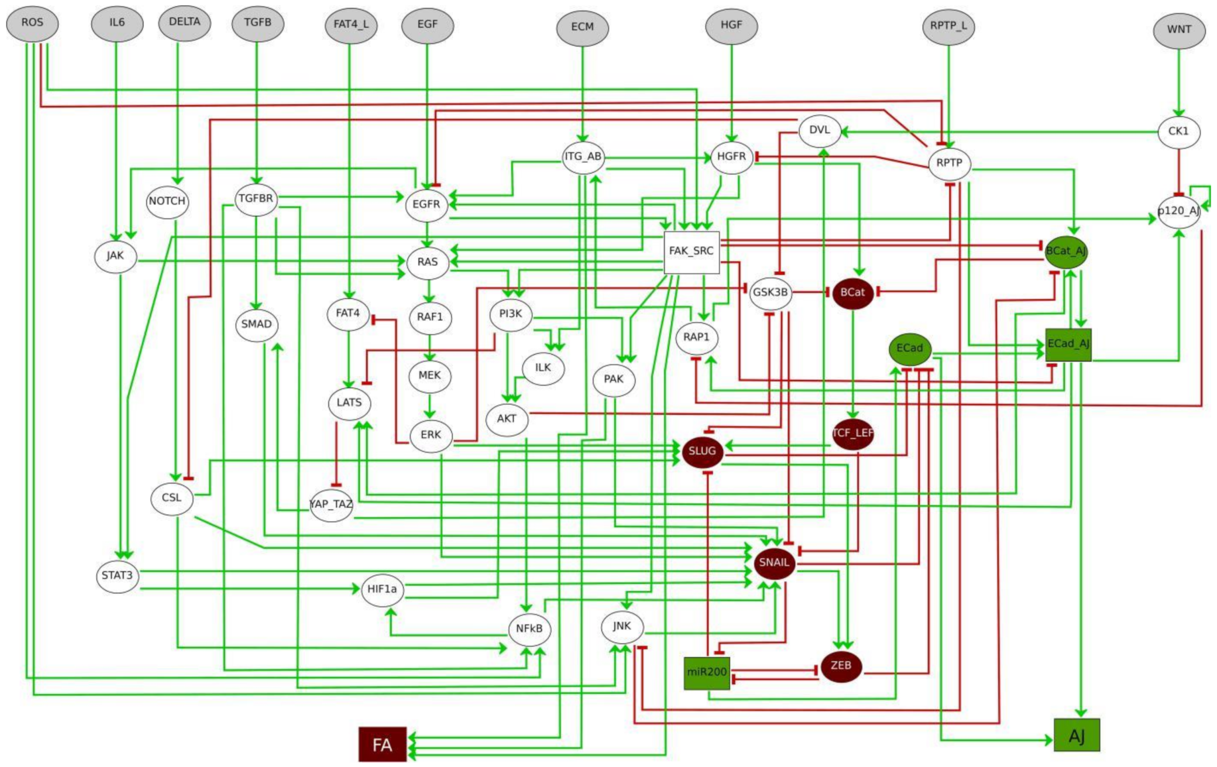 Ijms 22 04897 g002 Ijms 22 04897 g002