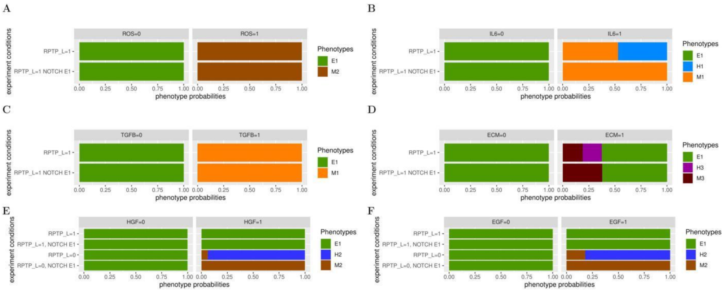 Ijms 22 04897 g004 Ijms 22 04897 g004