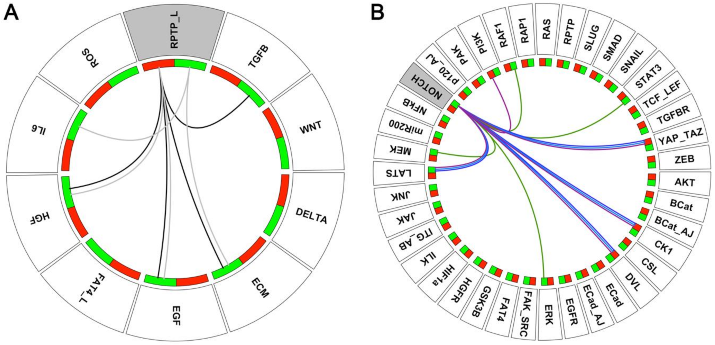 Ijms 22 04897 g005 Ijms 22 04897 g005