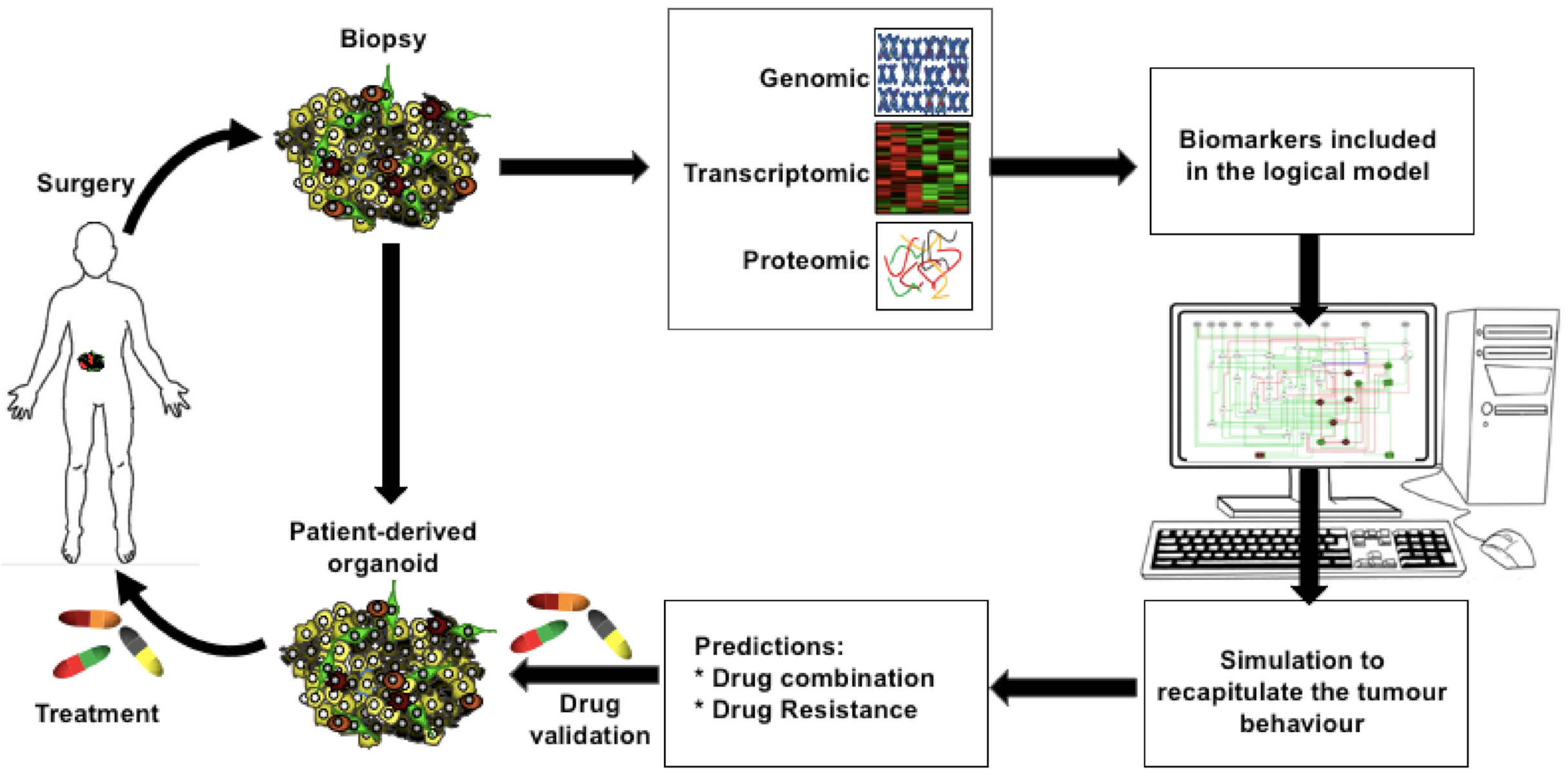 Ijms 22 04897 g006 Ijms 22 04897 g006