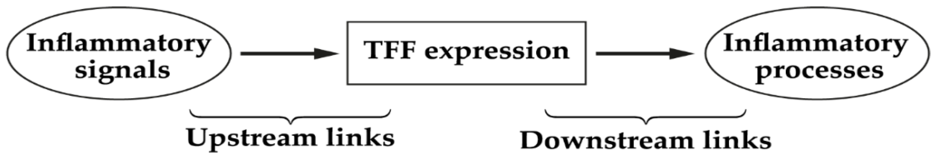 Ijms 22 04909 g002 Ijms 22 04909 g002