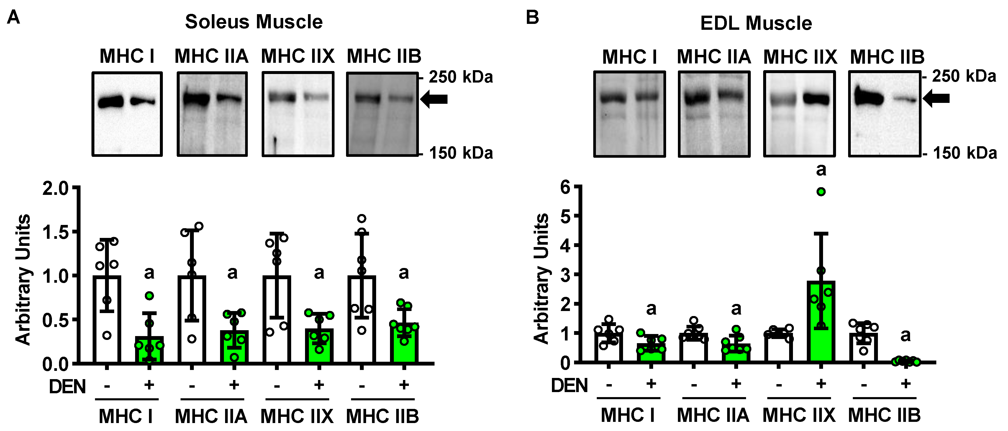 Ijms 22 04913 g002 Ijms 22 04913 g002