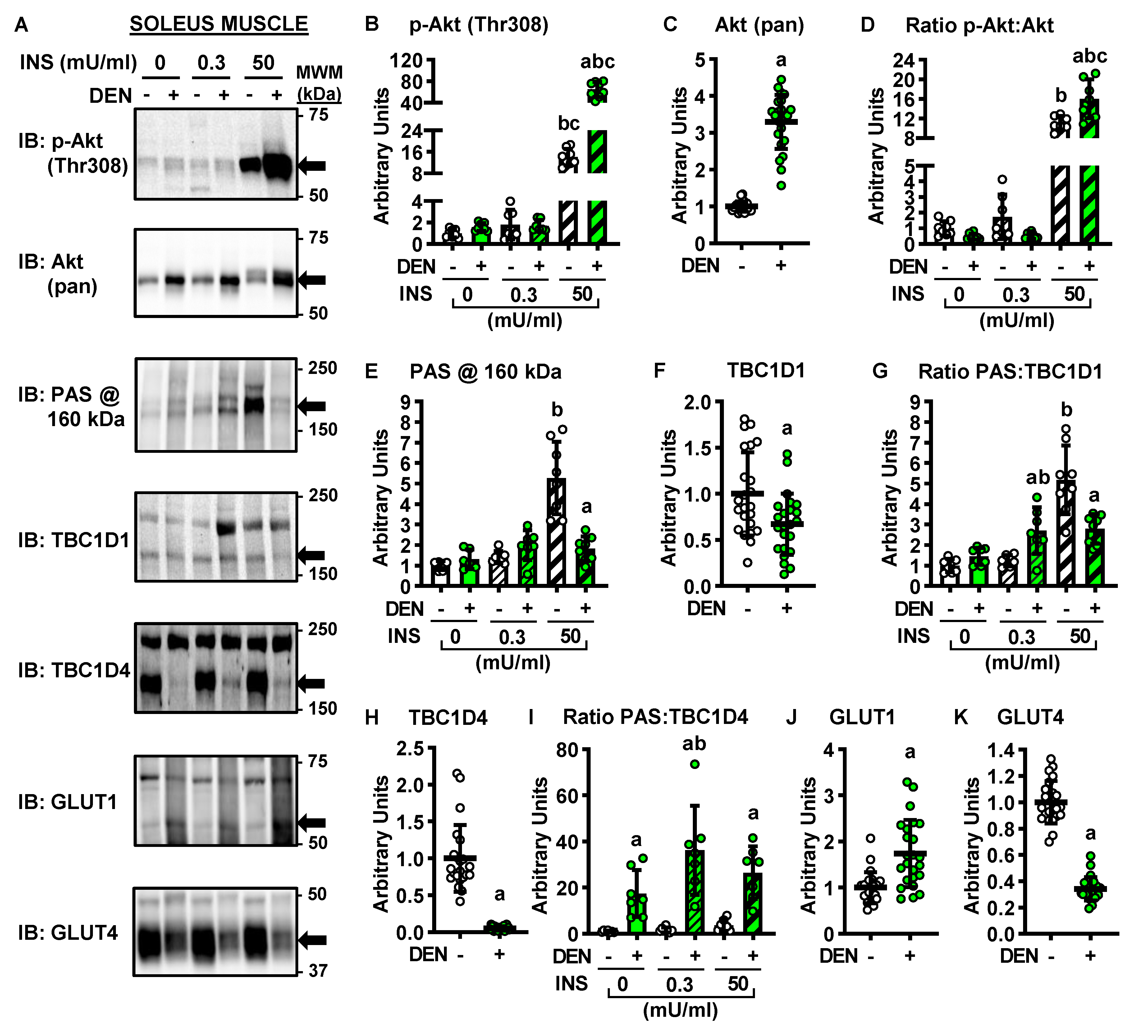 Ijms 22 04913 g003 Ijms 22 04913 g003