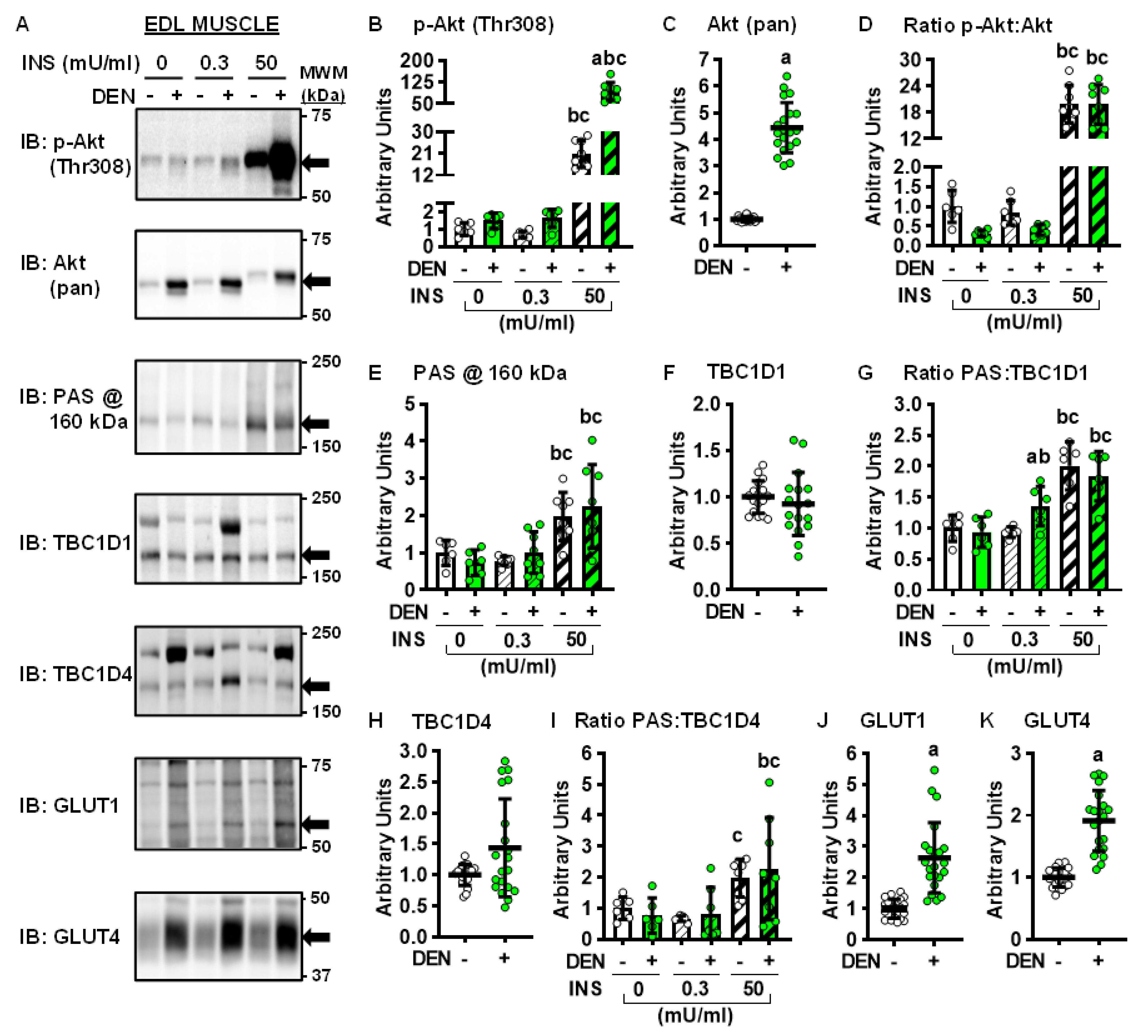Ijms 22 04913 g004 Ijms 22 04913 g004