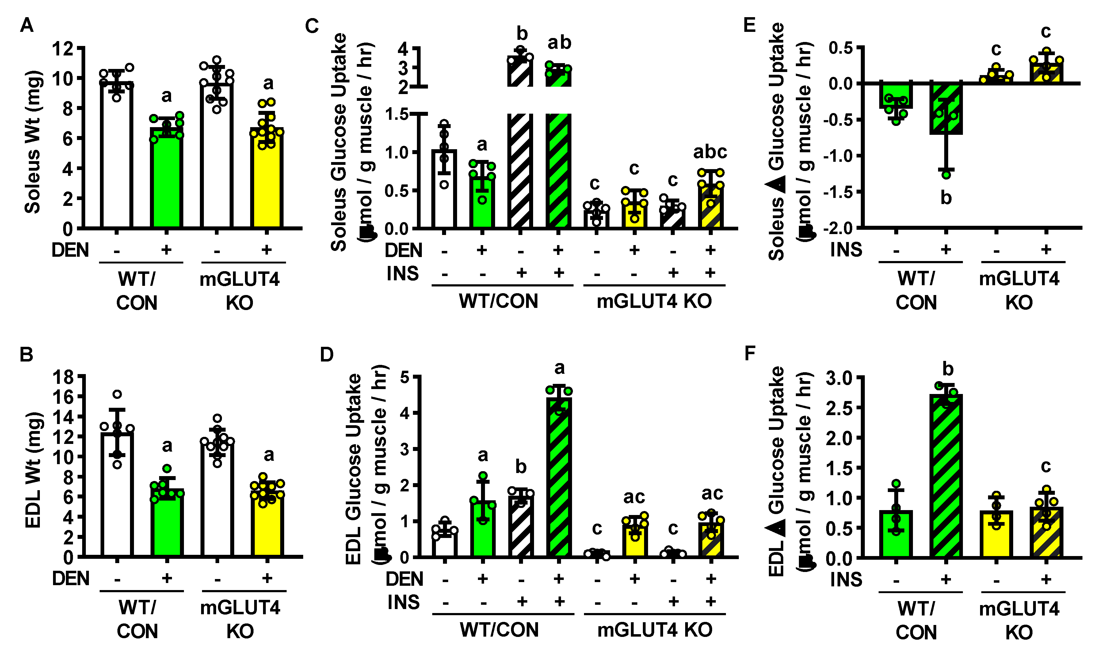 Ijms 22 04913 g005 Ijms 22 04913 g005