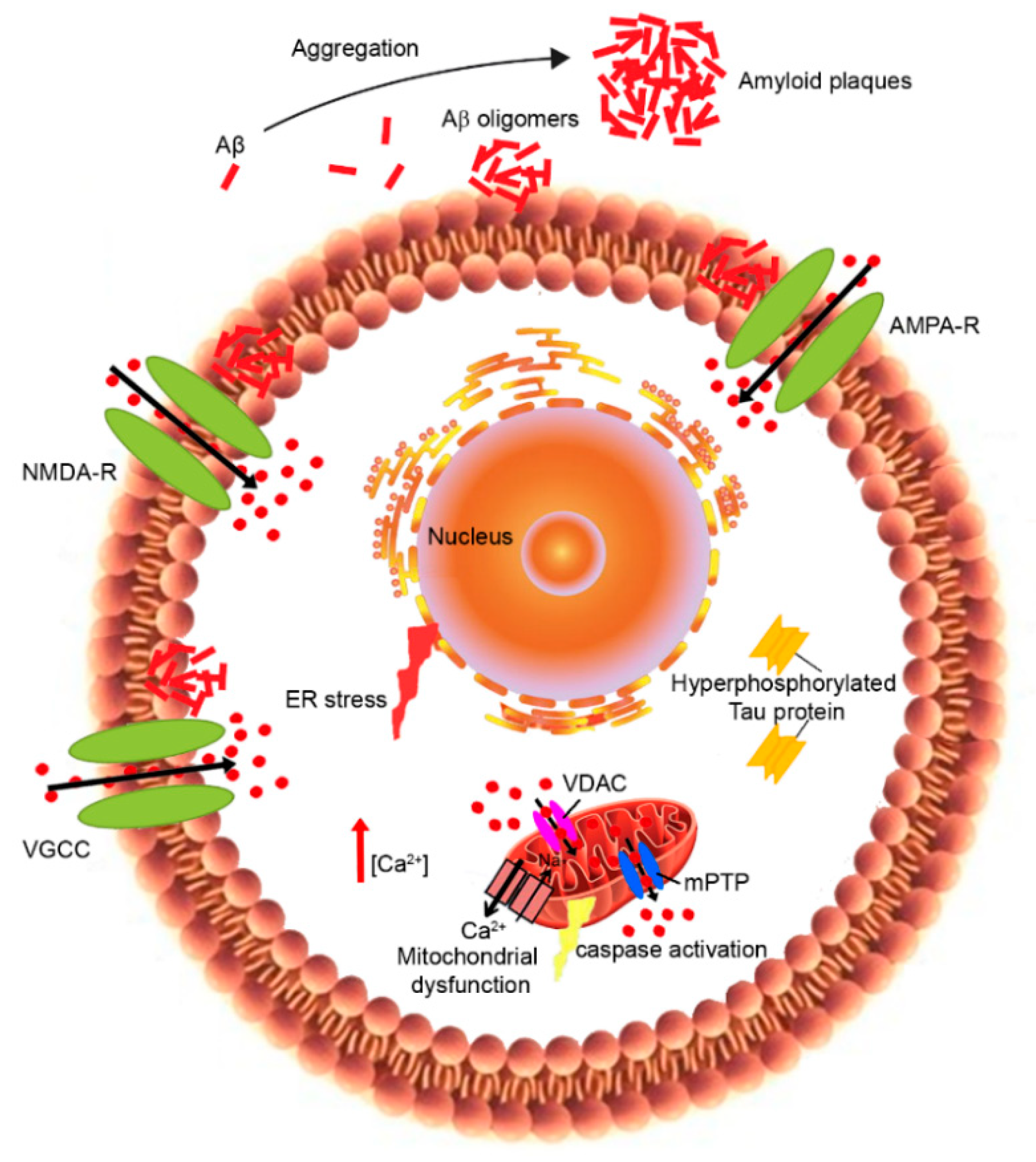 Ijms 22 04914 g002 Ijms 22 04914 g002