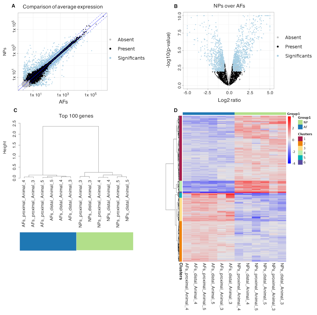 Ijms 22 04917 g006 Ijms 22 04917 g006