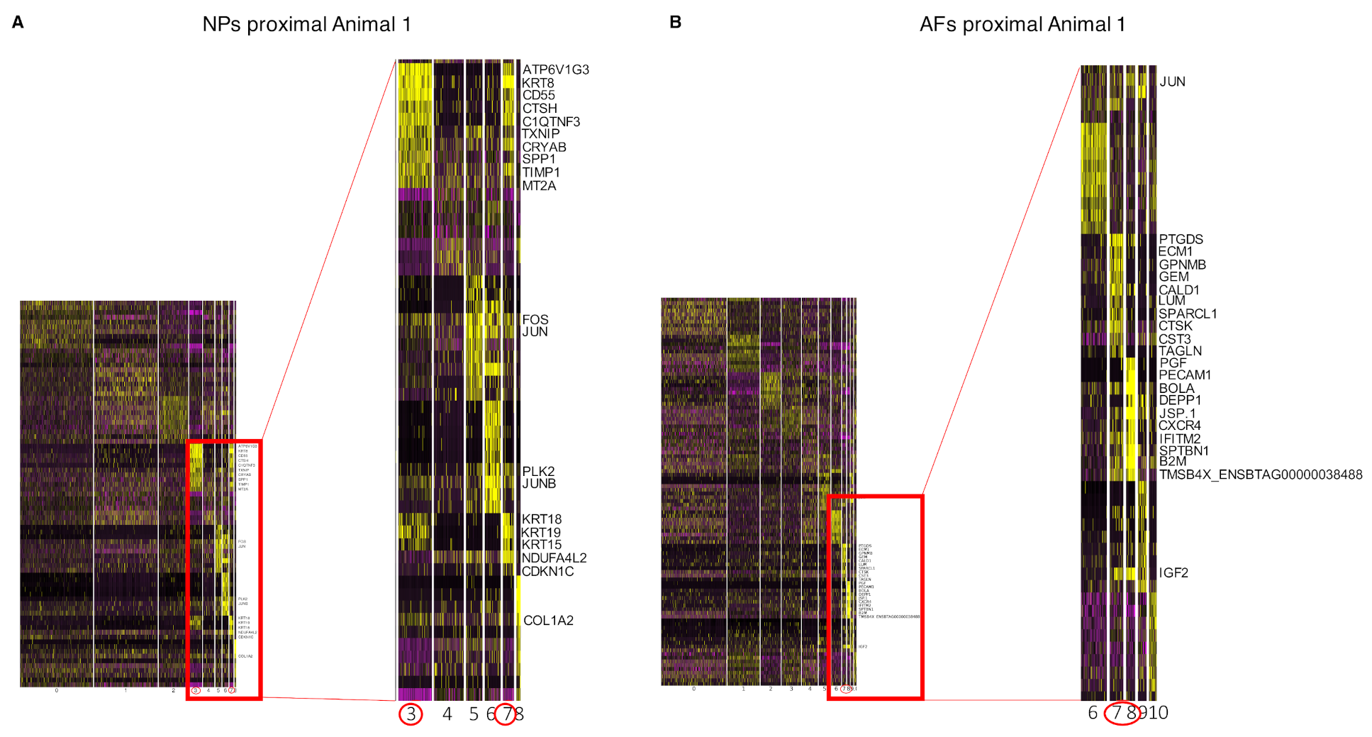 Ijms 22 04917 g009 Ijms 22 04917 g009