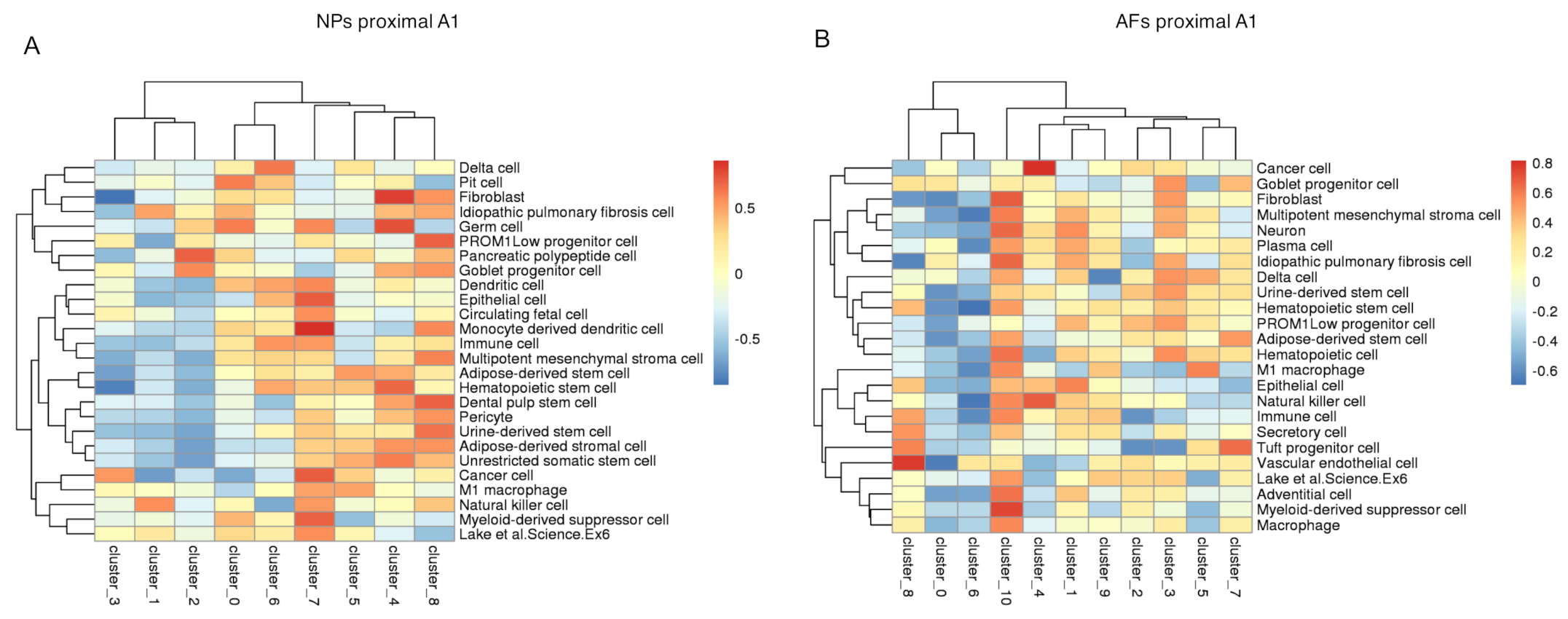 Ijms 22 04917 g011 Ijms 22 04917 g011
