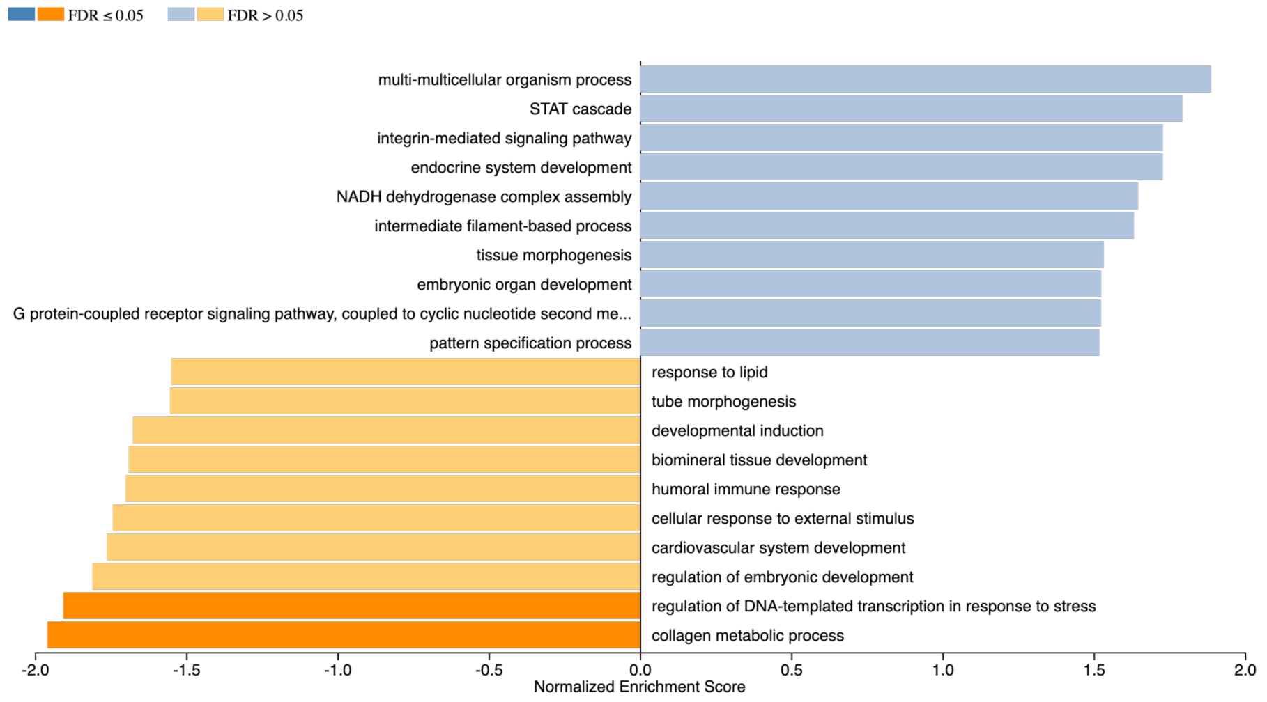 Ijms 22 04917 g012 Ijms 22 04917 g012