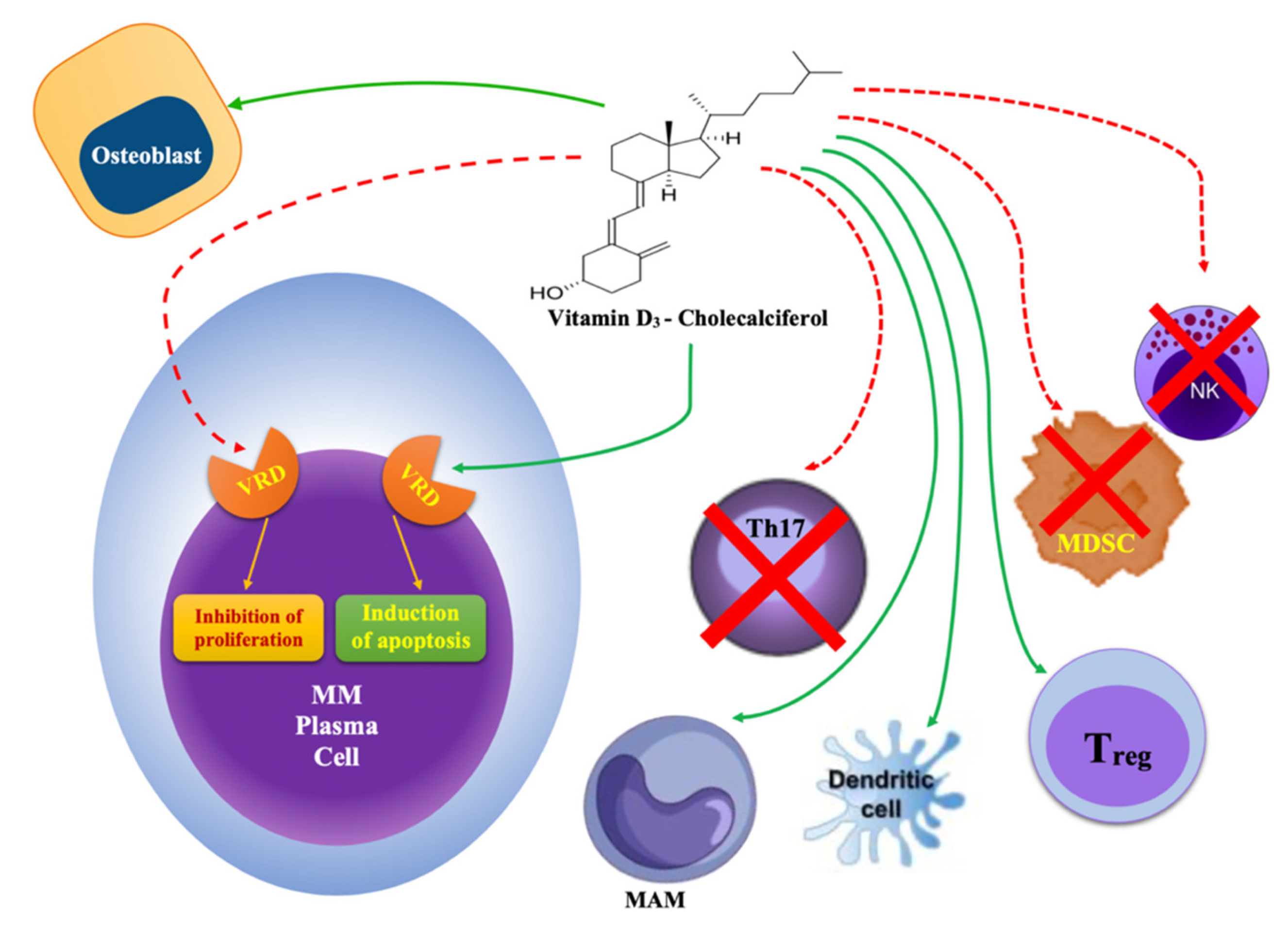 Ijms Free Full Text Reviewing The Significance Of Vitamin D Substitution In Monoclonal Gammopathies Html